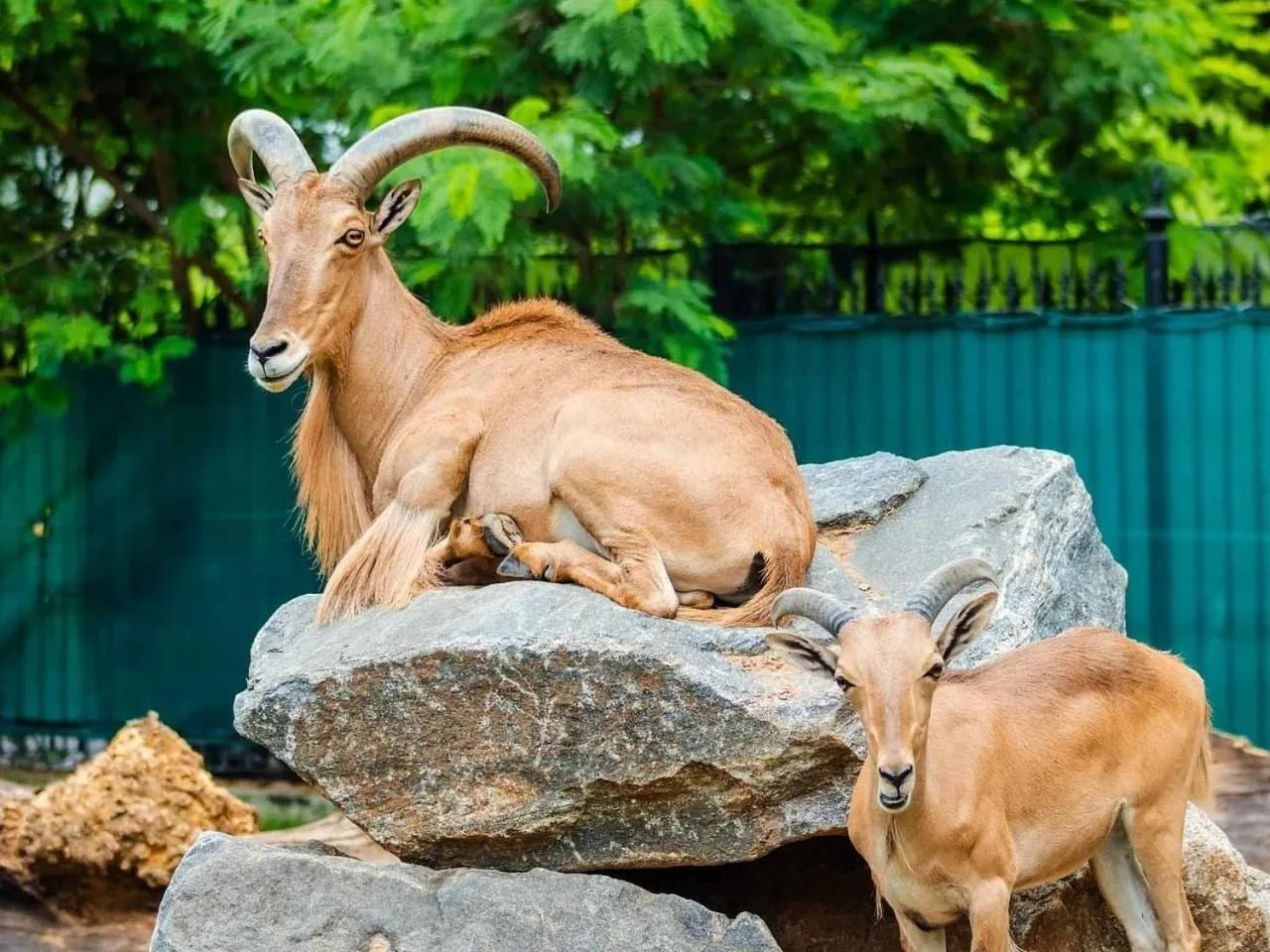 Off site in Must Leblon - pacote: 4 Hóspedes, Praia + 1 Ticket