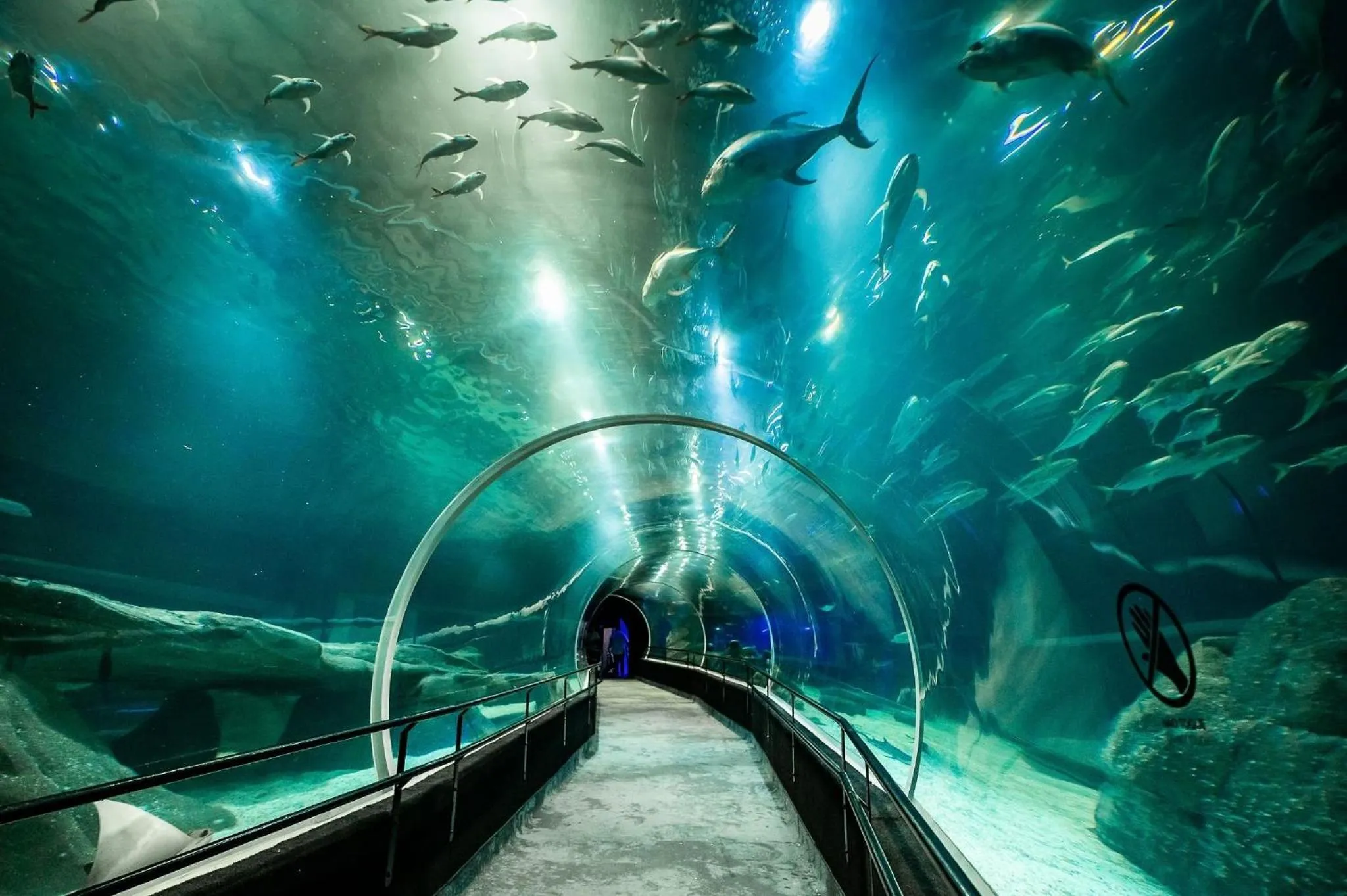 Entertainment in Must Leblon - pacote: 4 Hóspedes, Praia + 1 Ticket