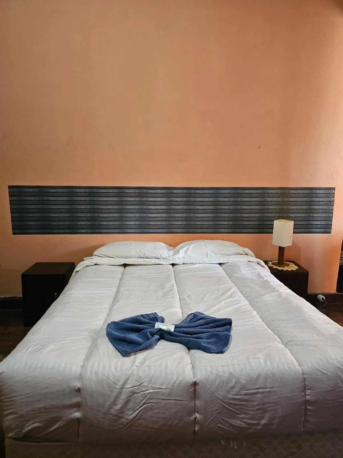 Bed in Varzea Palace Hotel