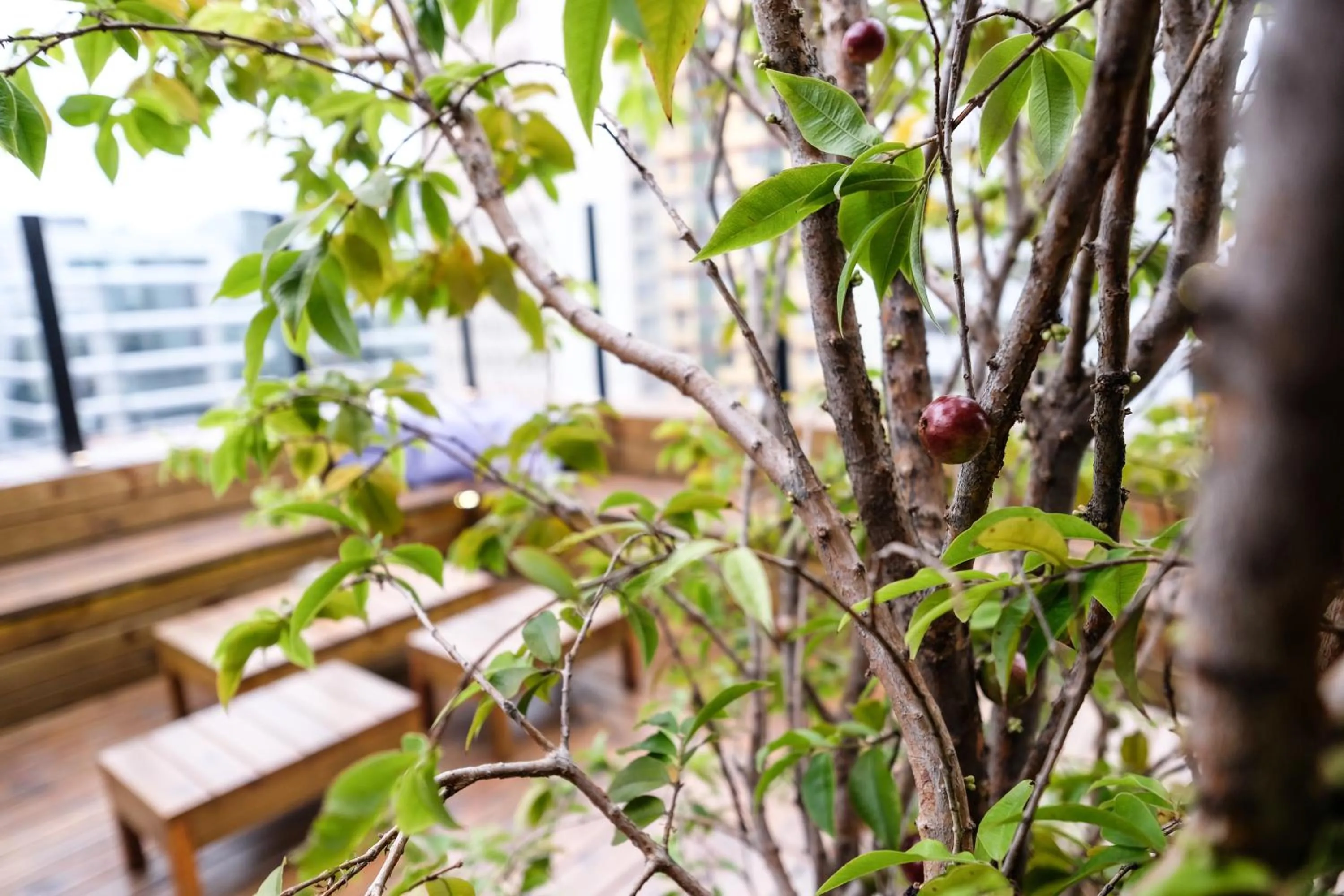 Decorative detail in Bê Hotel