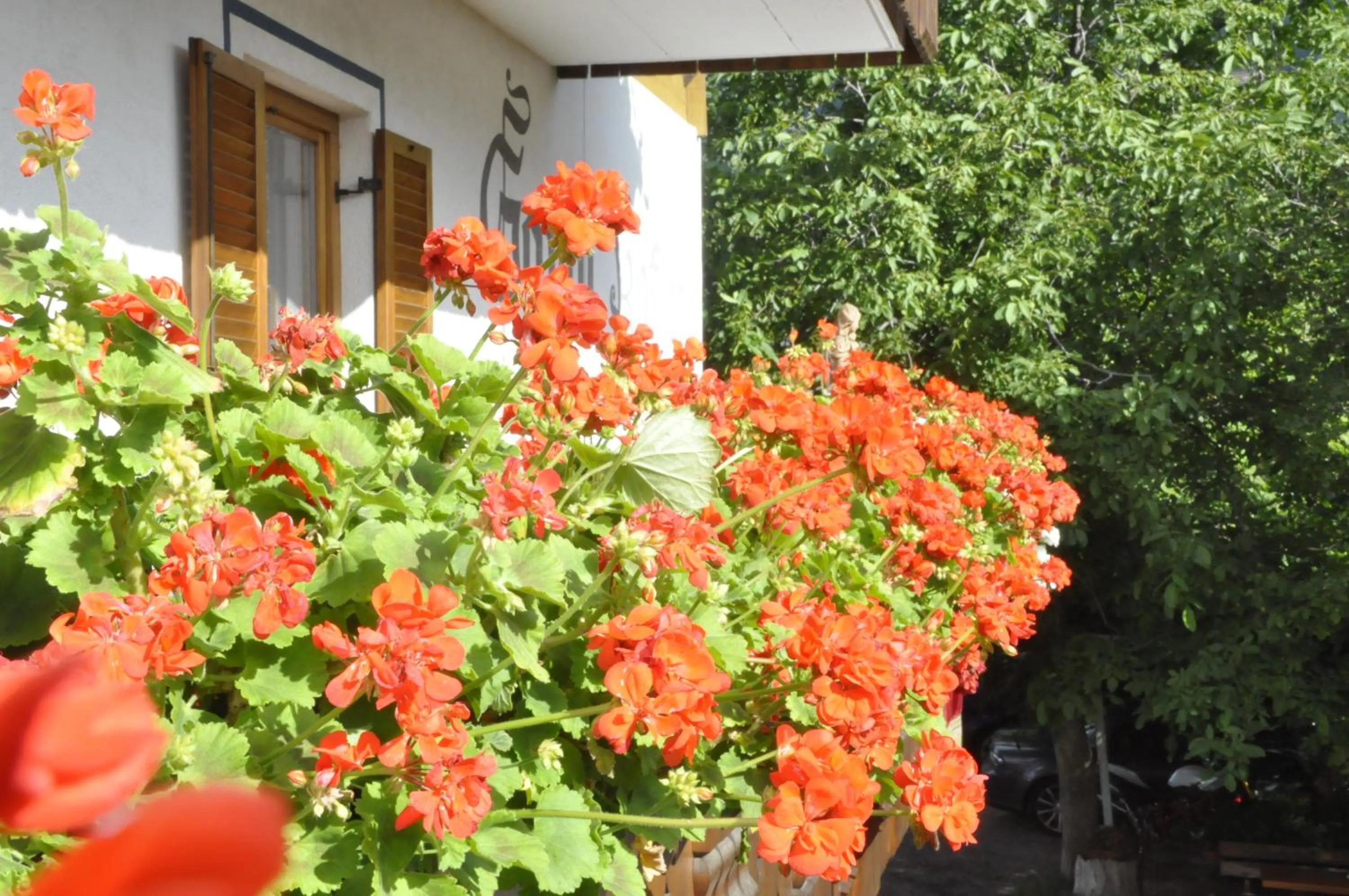 Balcony/Terrace in Garni Kofler