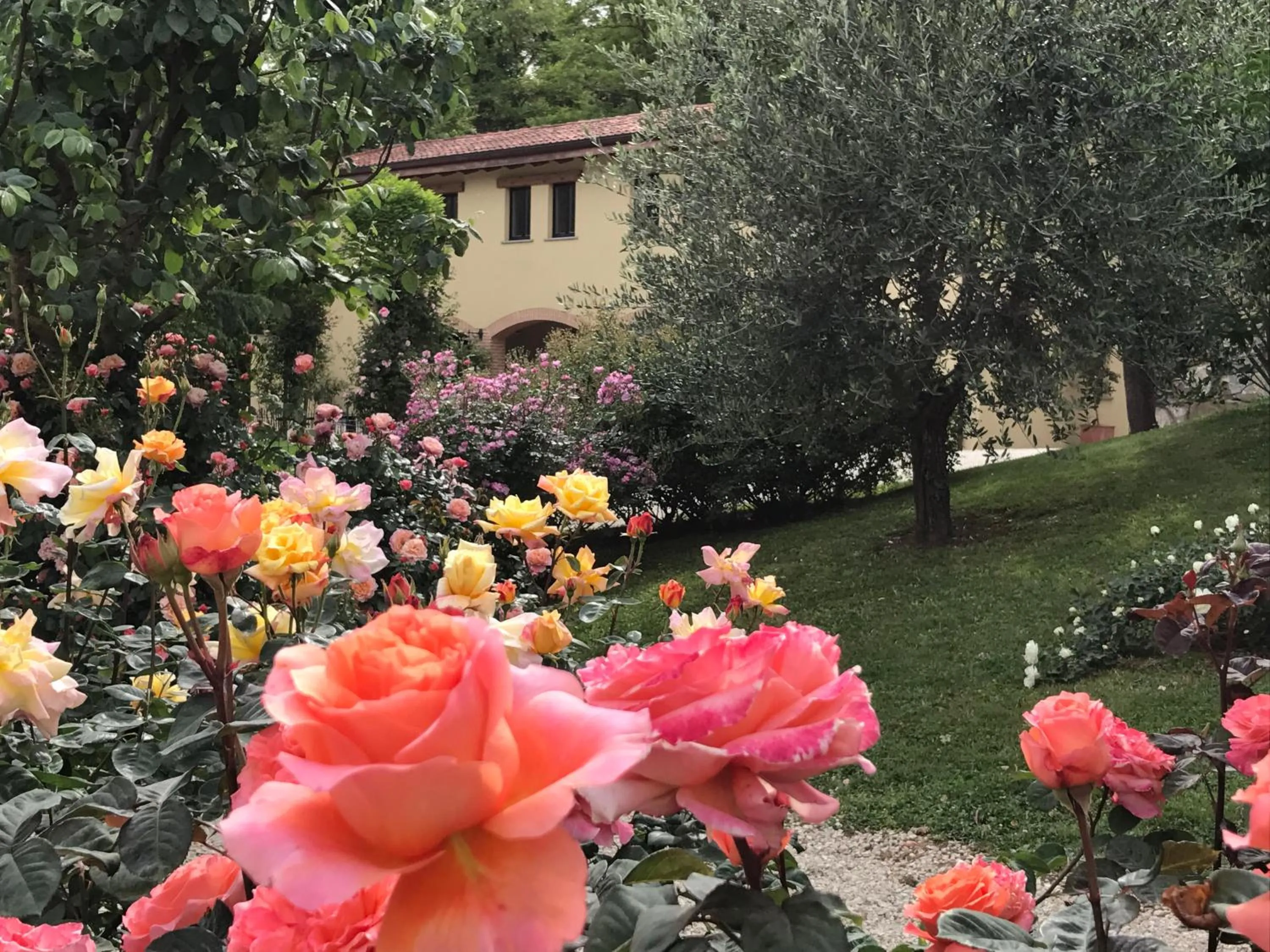 Restaurant/places to eat in Torre del Barbagianni - Castello di Gropparello