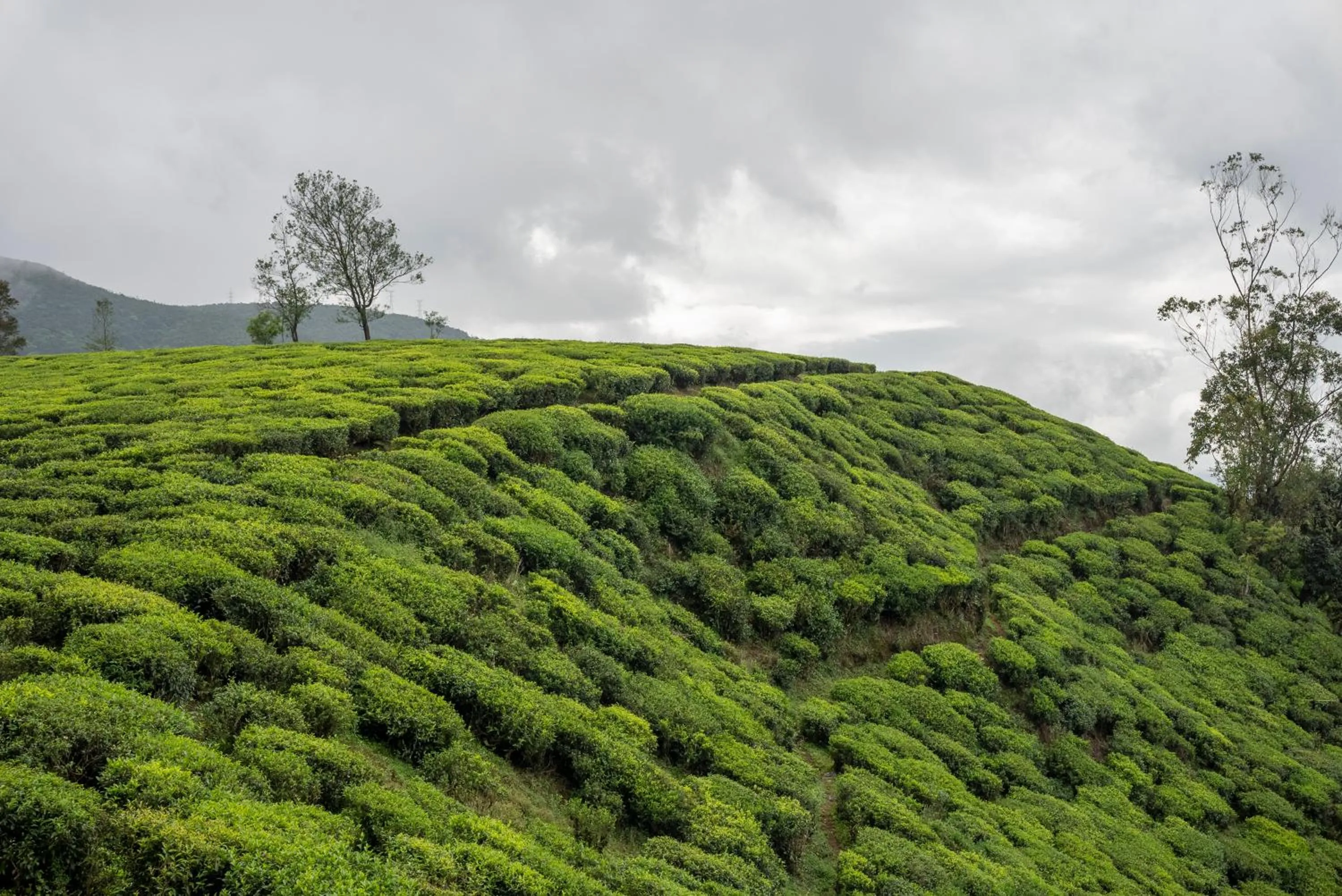 Property building in Aaradhya Nuwara Eliya