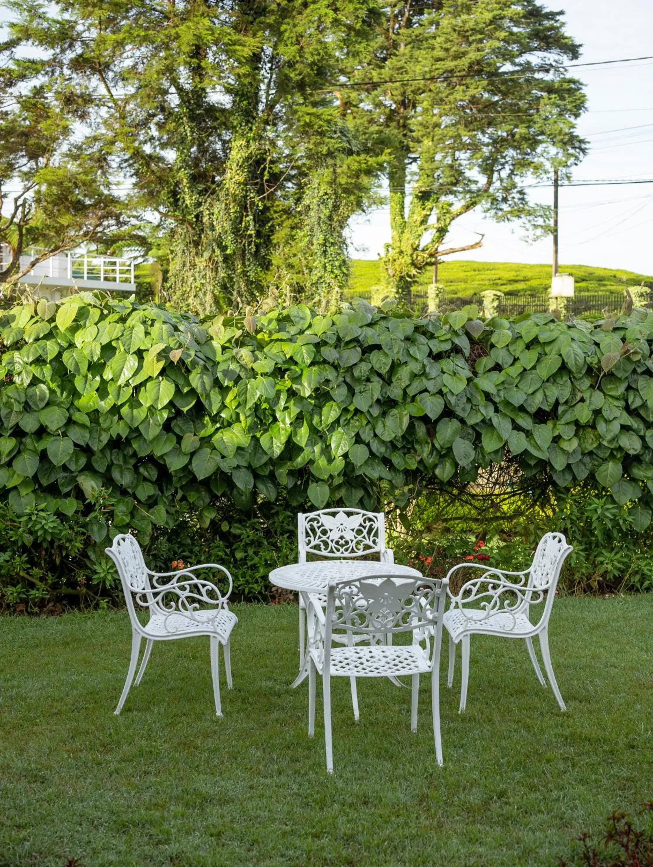 Property building in Aaradhya Nuwara Eliya Property building in Aaradhya Nuwara Eliya