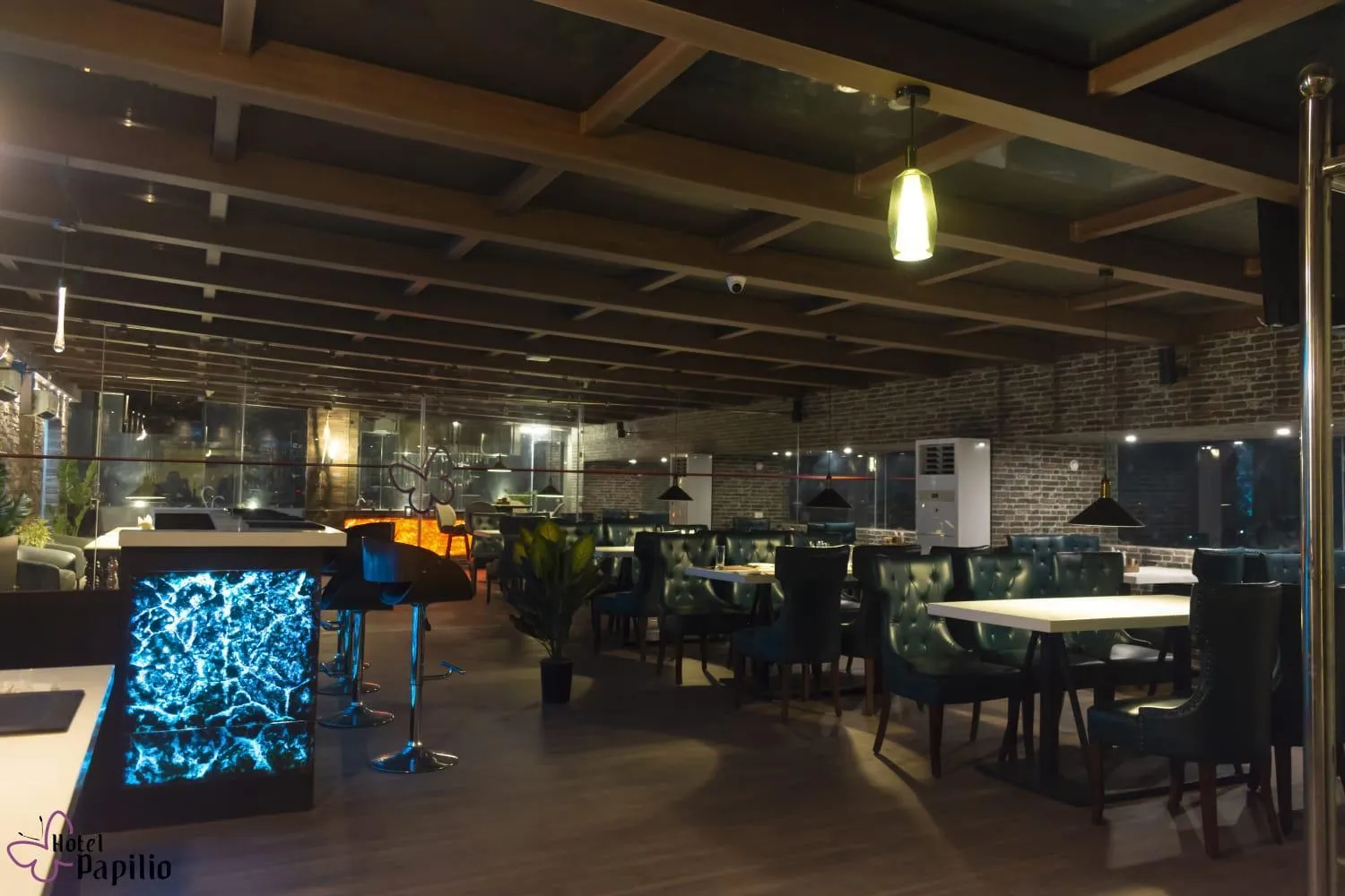 Restaurant/places to eat in HOTEL PAPILIO