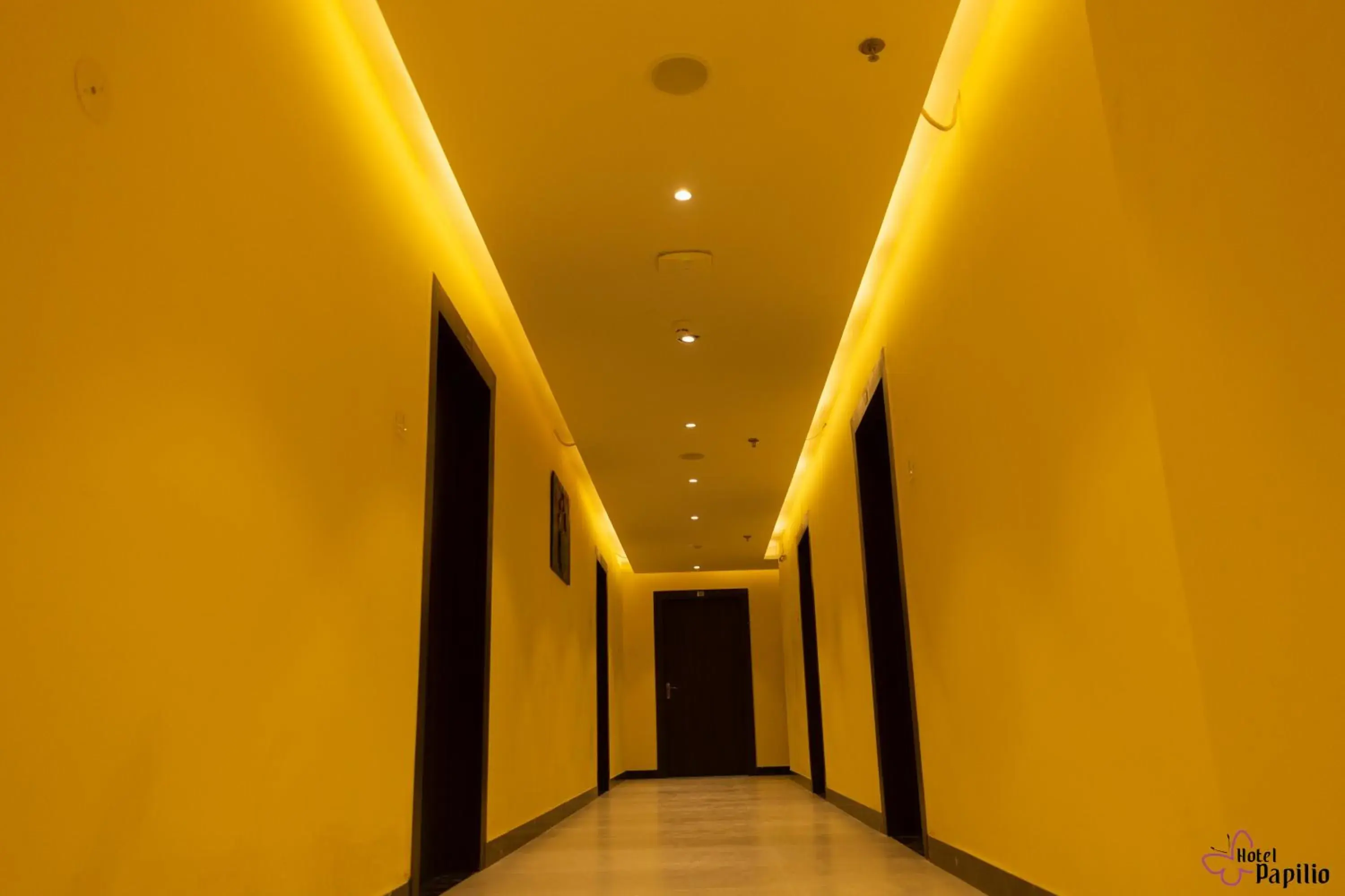 Street view in HOTEL PAPILIO Street view in HOTEL PAPILIO