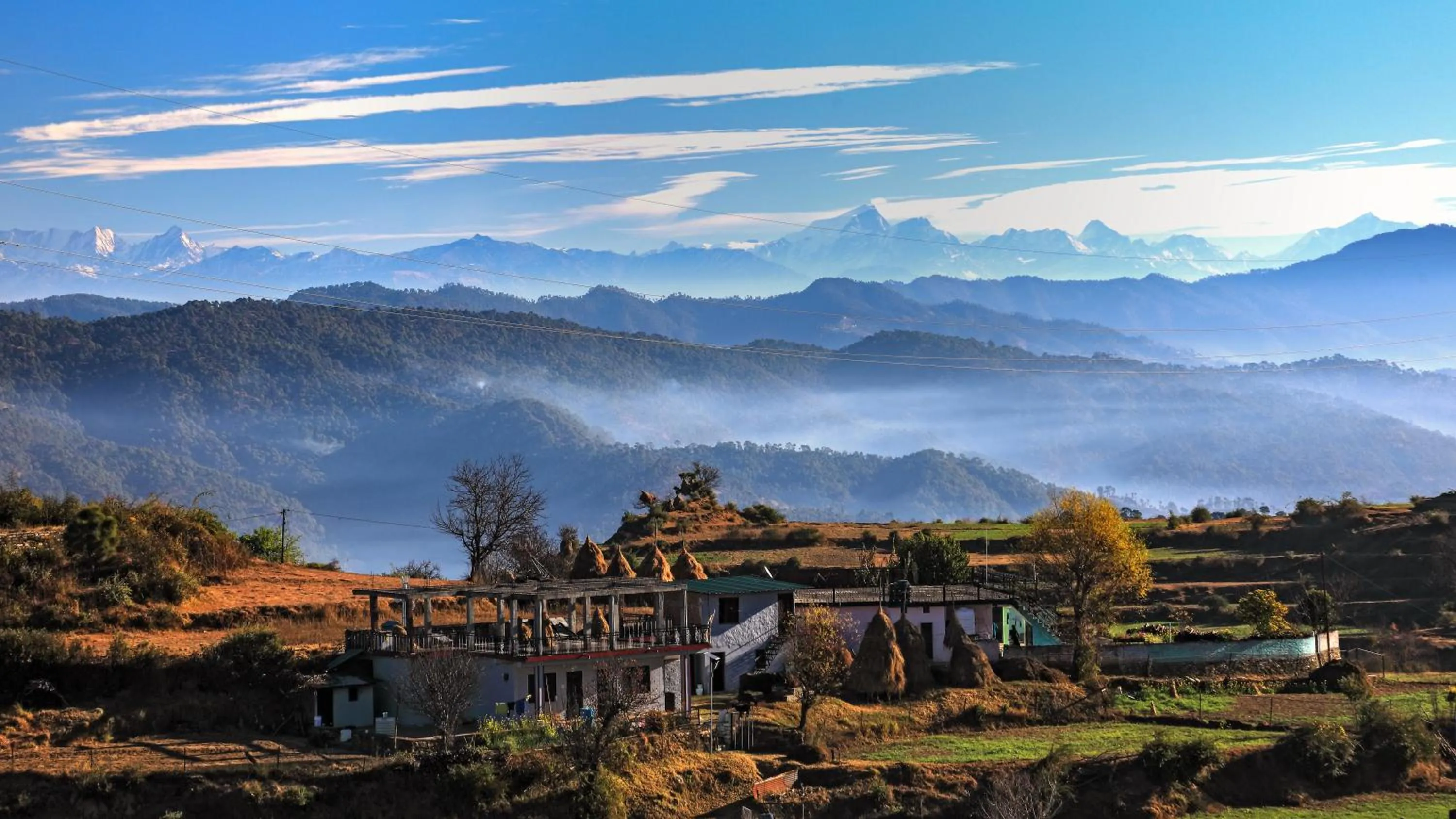 Hotel Colonels Paradise