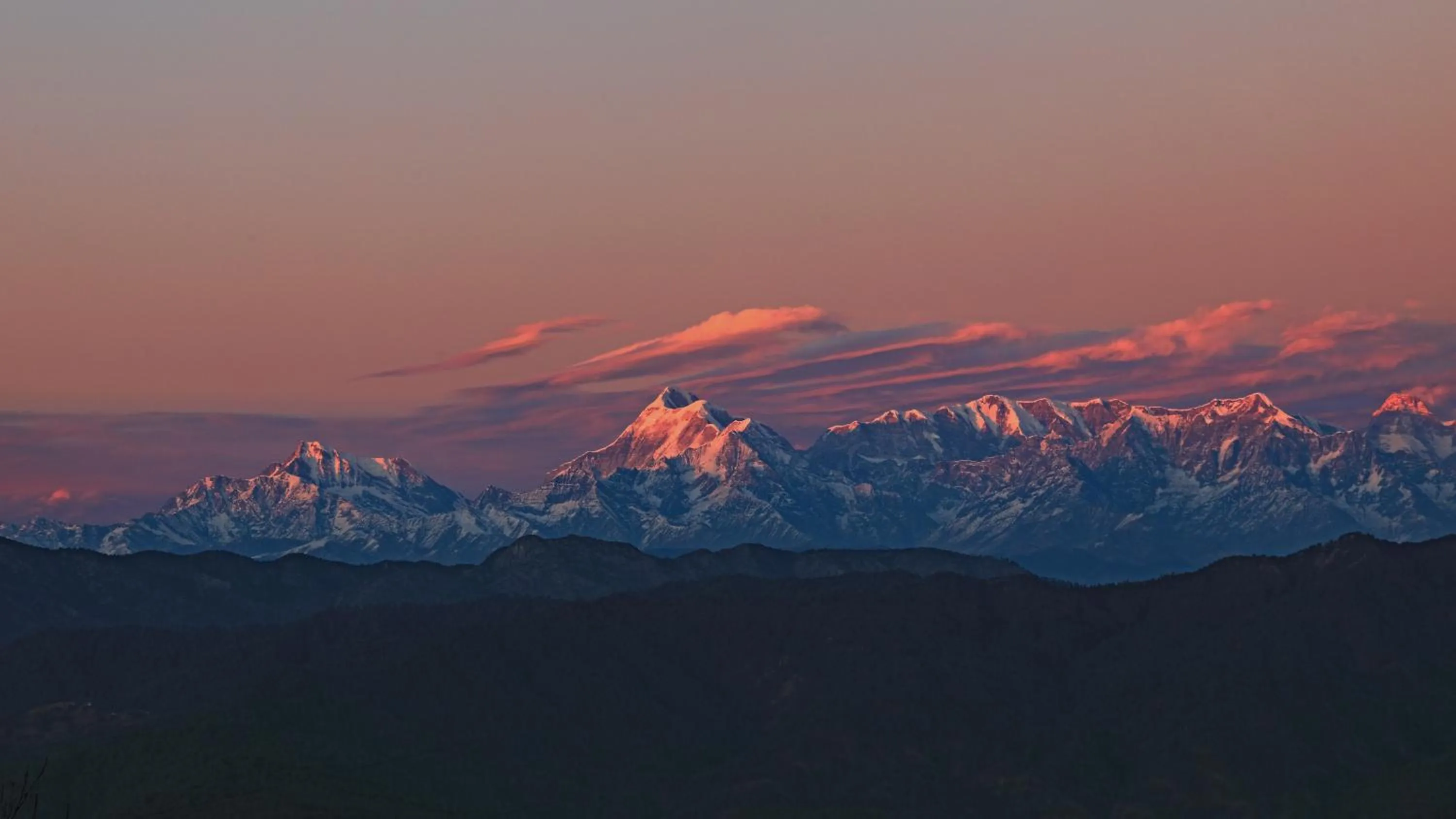 Hotel Colonels Paradise