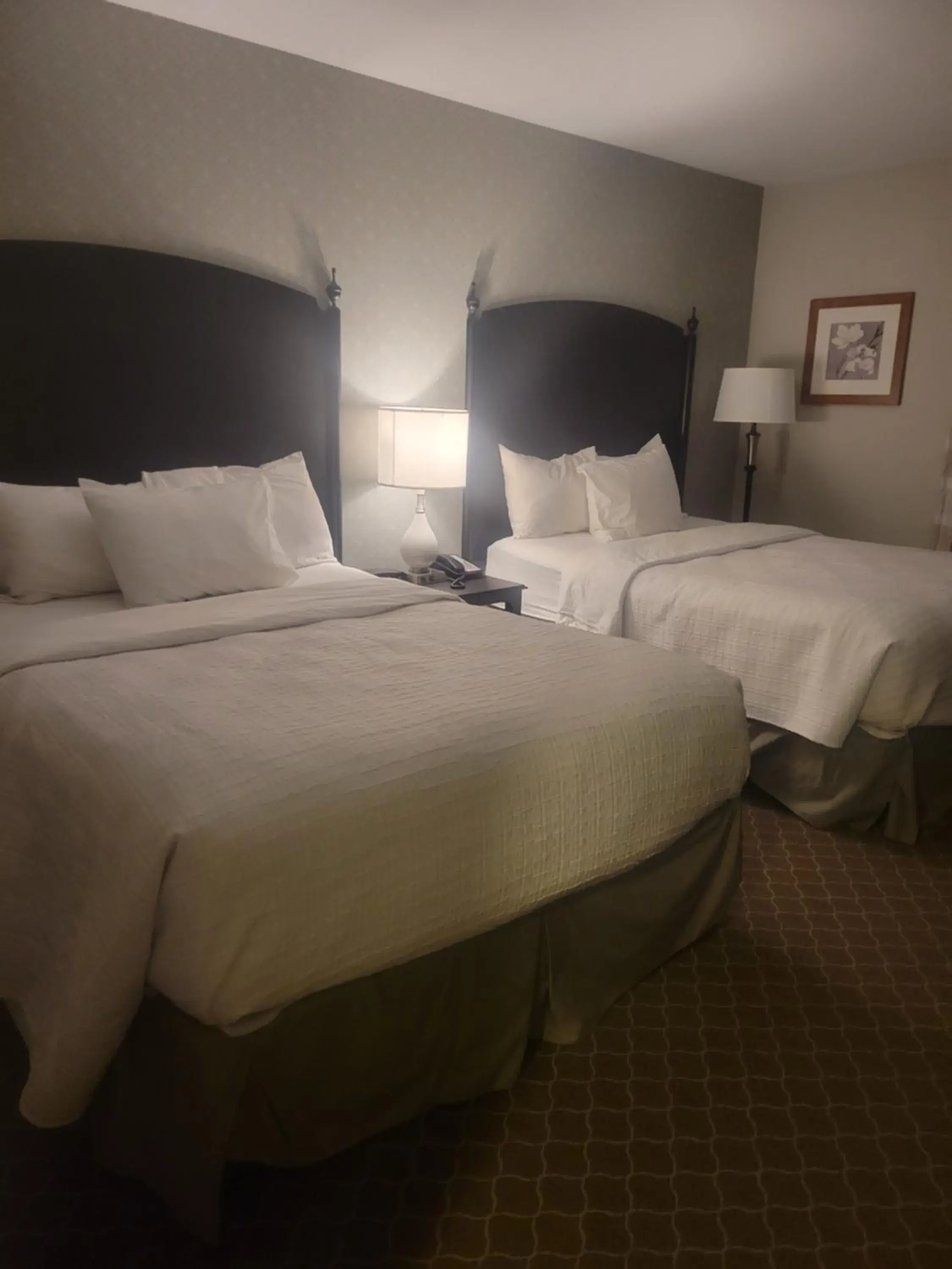 Deluxe Queen Room with Two Queen Beds - Non-Smoking in Natural Bridge Hotel, Trademark Collection by Wyndham Deluxe Queen Room with Two Queen Beds - Non-Smoking in Natural Bridge Hotel, Trademark Collection by Wyndham