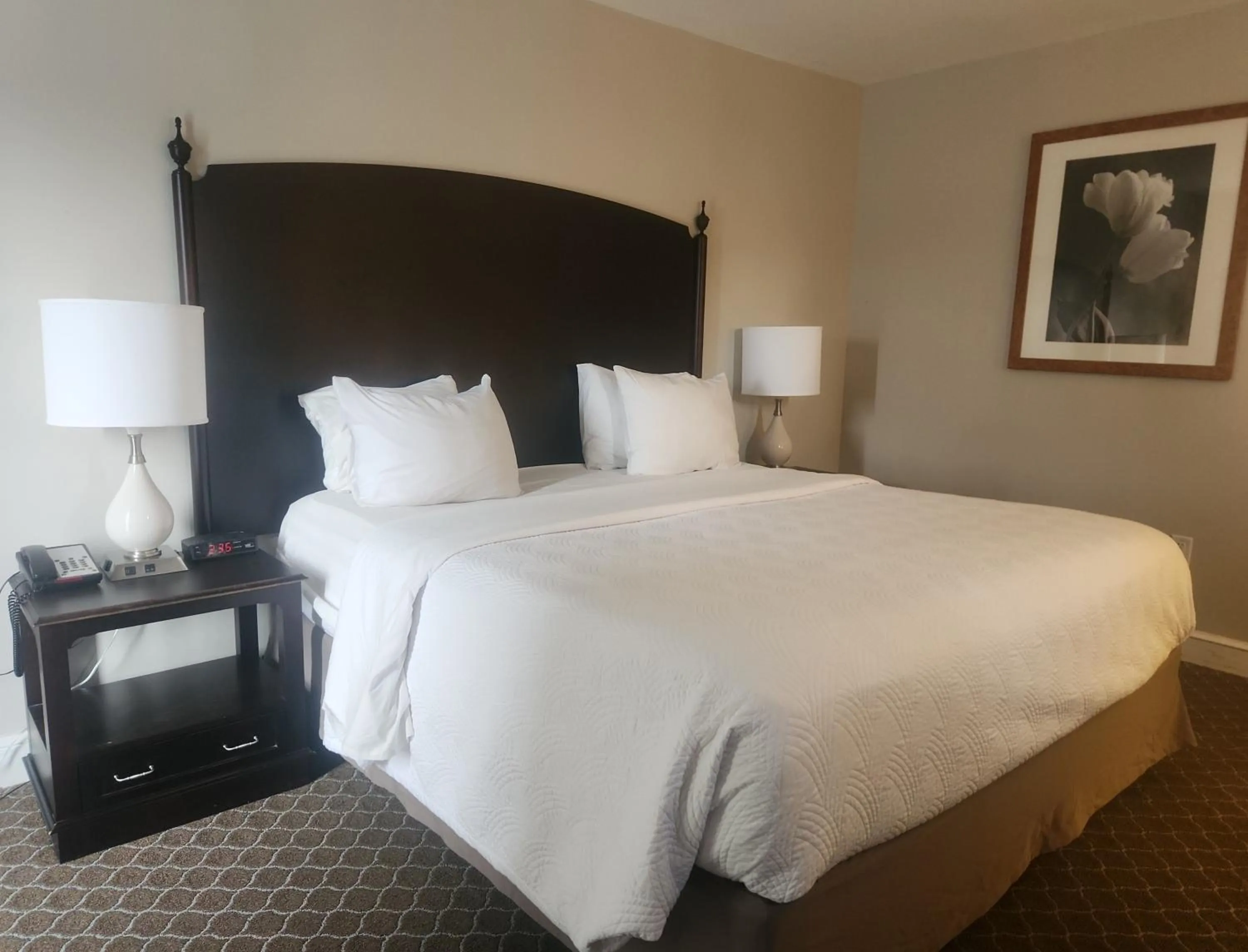 Bedroom, Bed in Natural Bridge Hotel, Trademark Collection by Wyndham