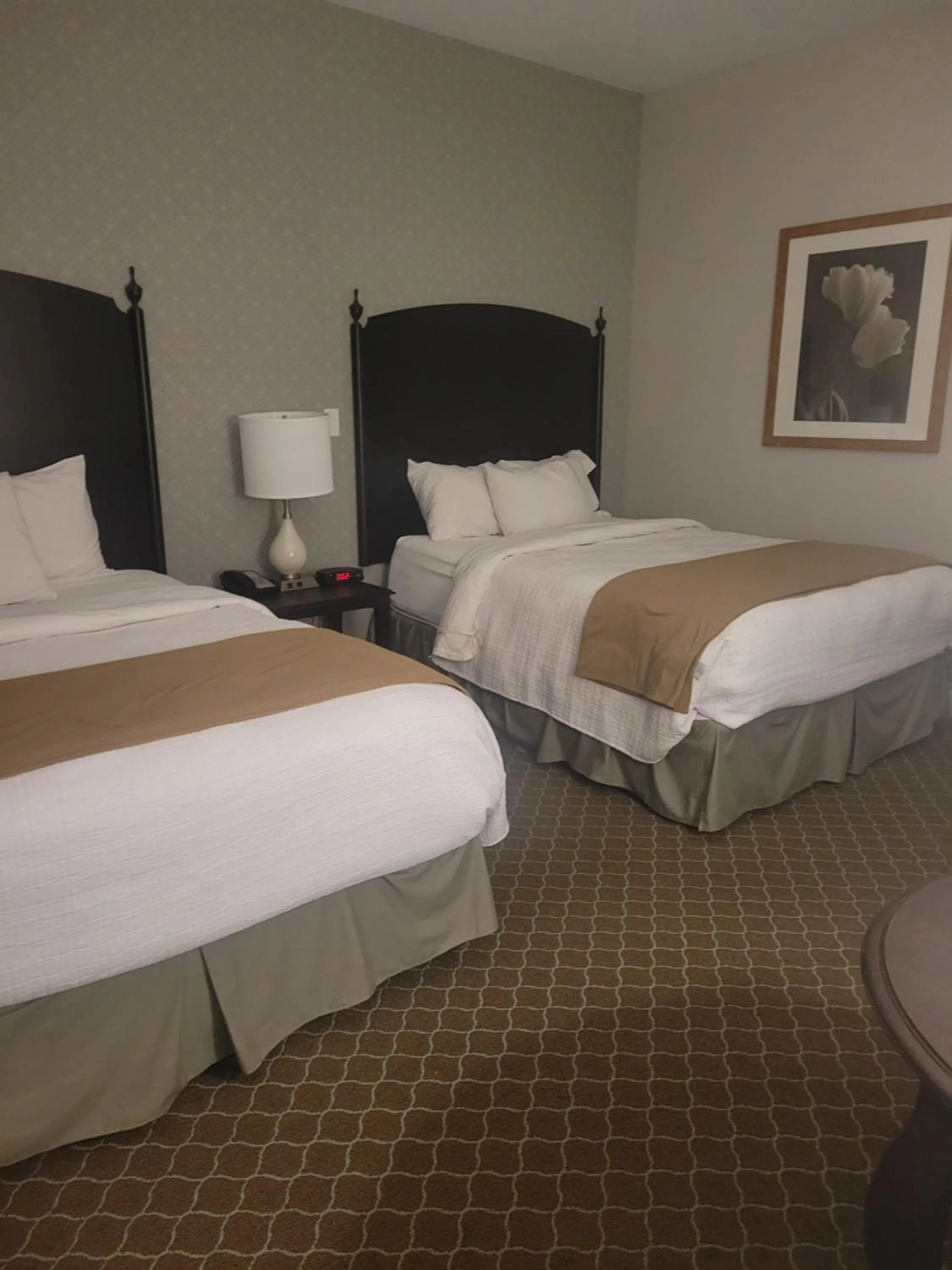 Bed in Natural Bridge Hotel, Trademark Collection by Wyndham