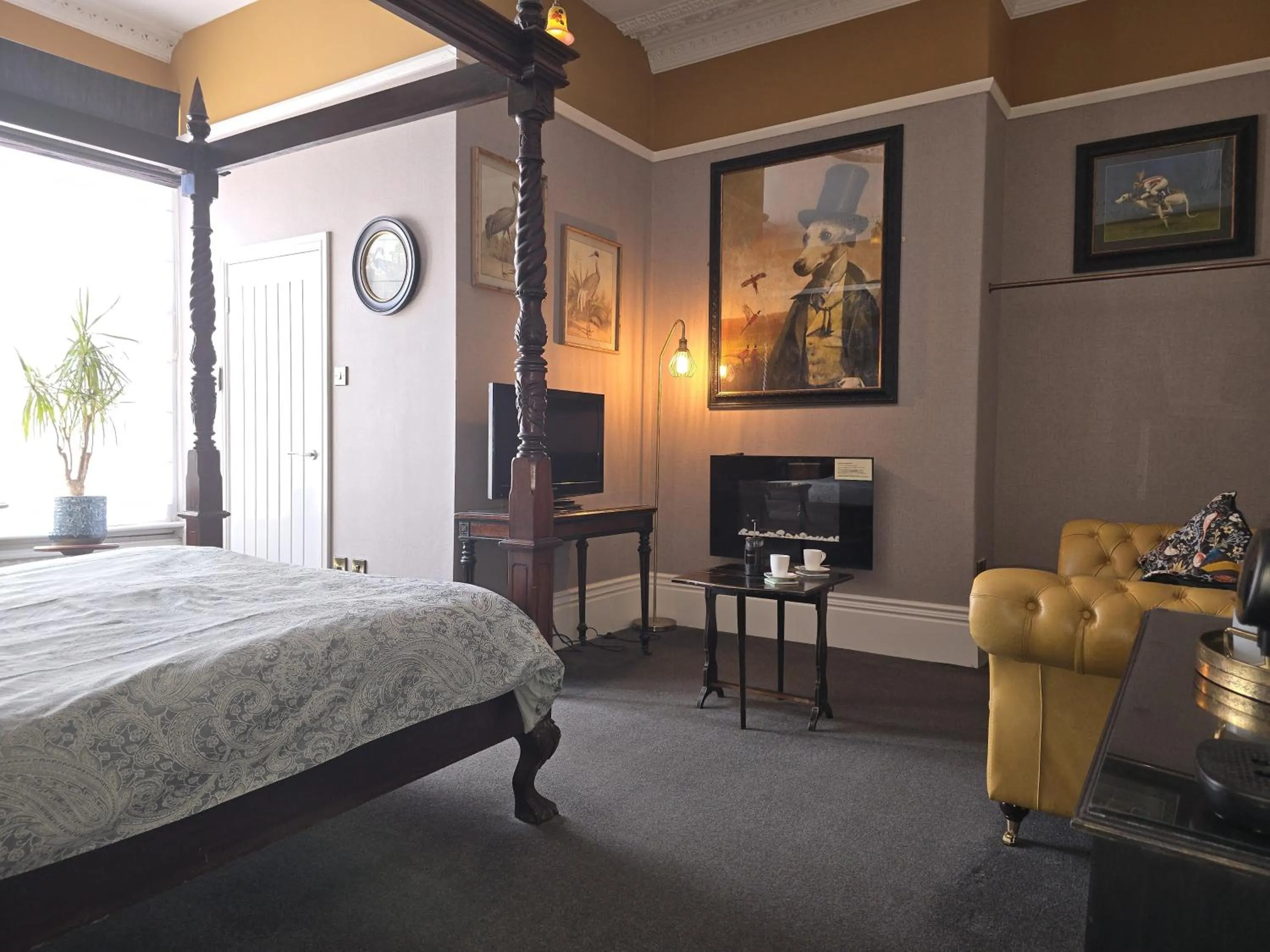 Bed in Ashburton House - B&B