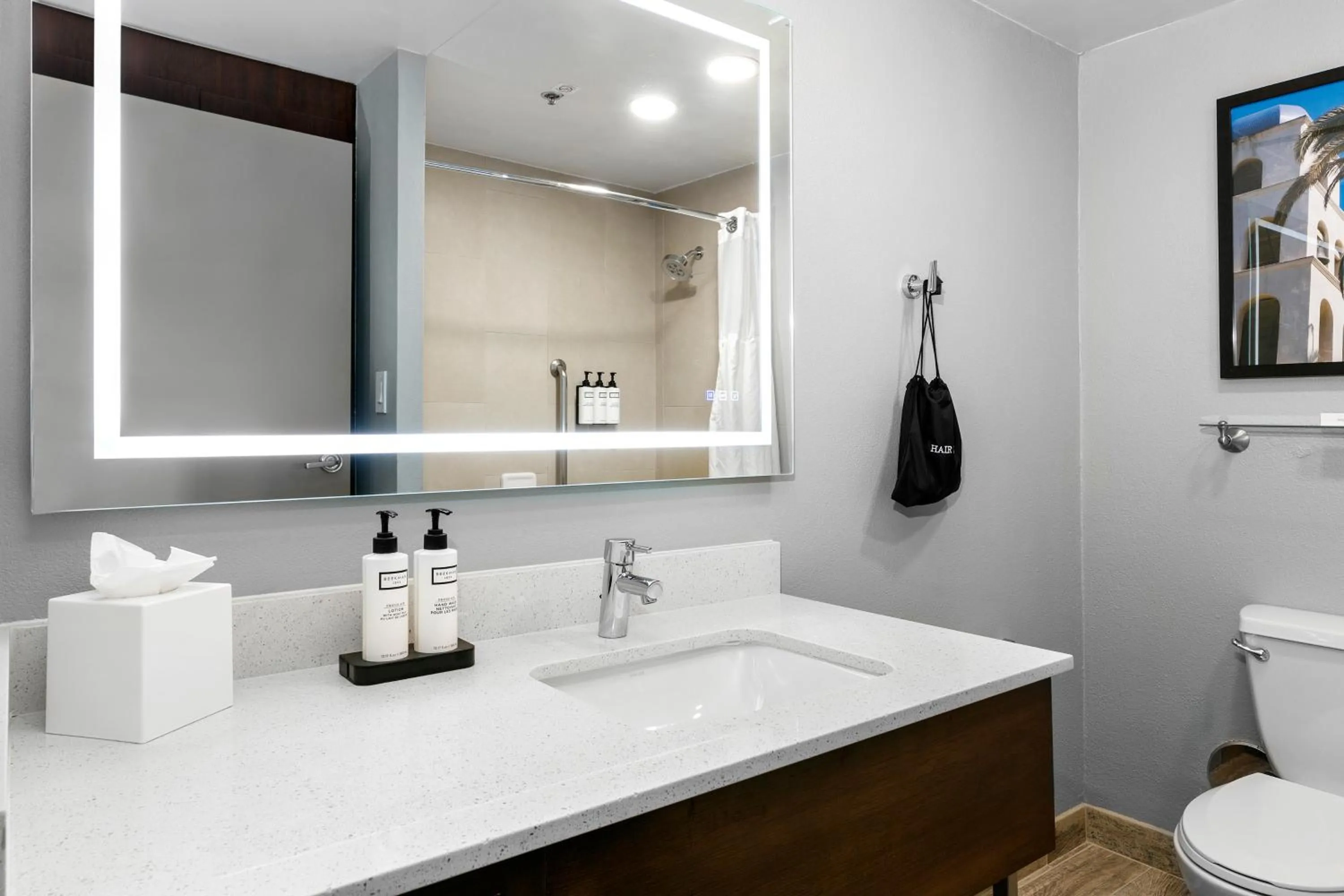 Bathroom in Wyndham San Diego Bayside