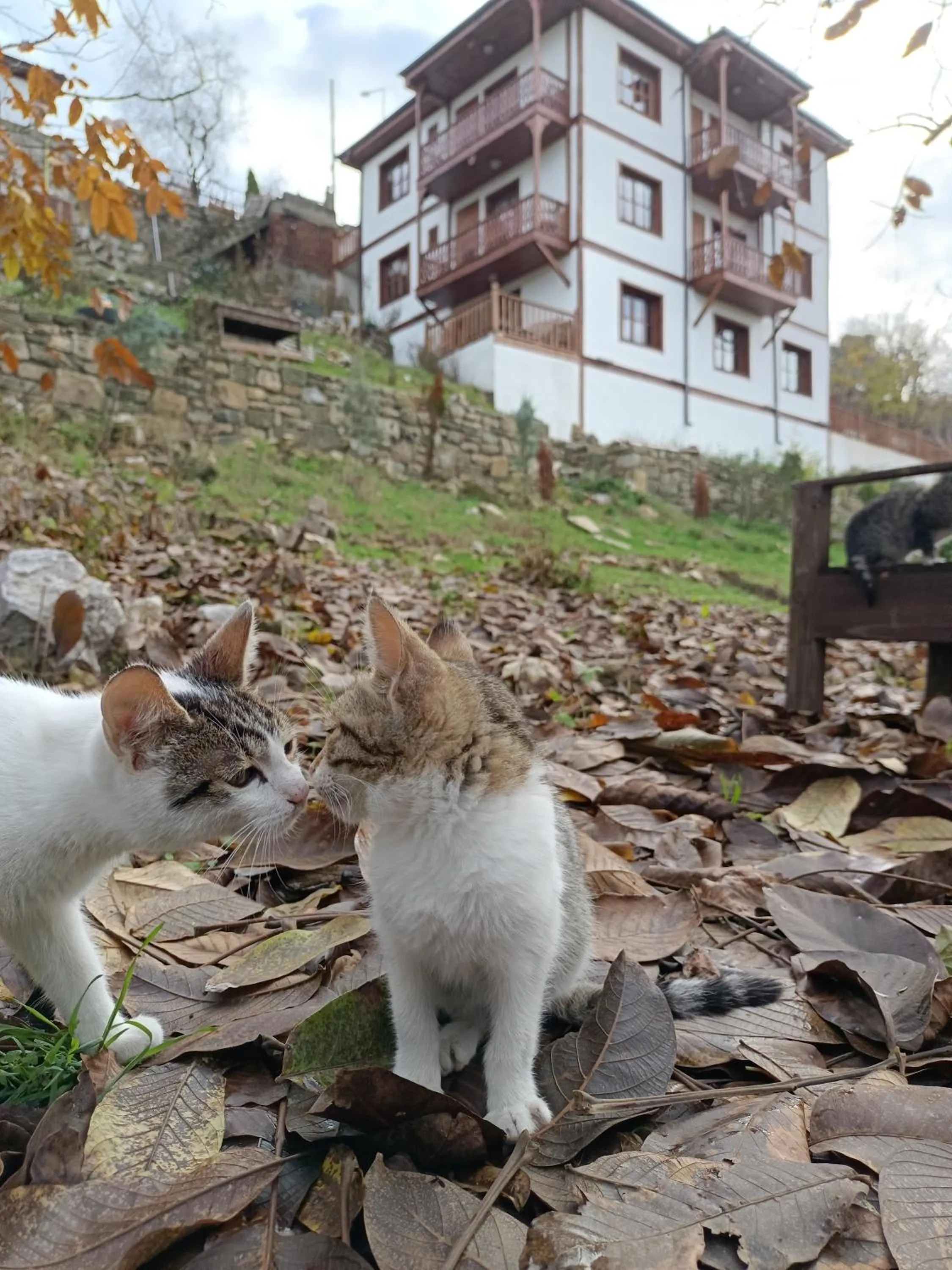 Property building in Manzara Konak Otel