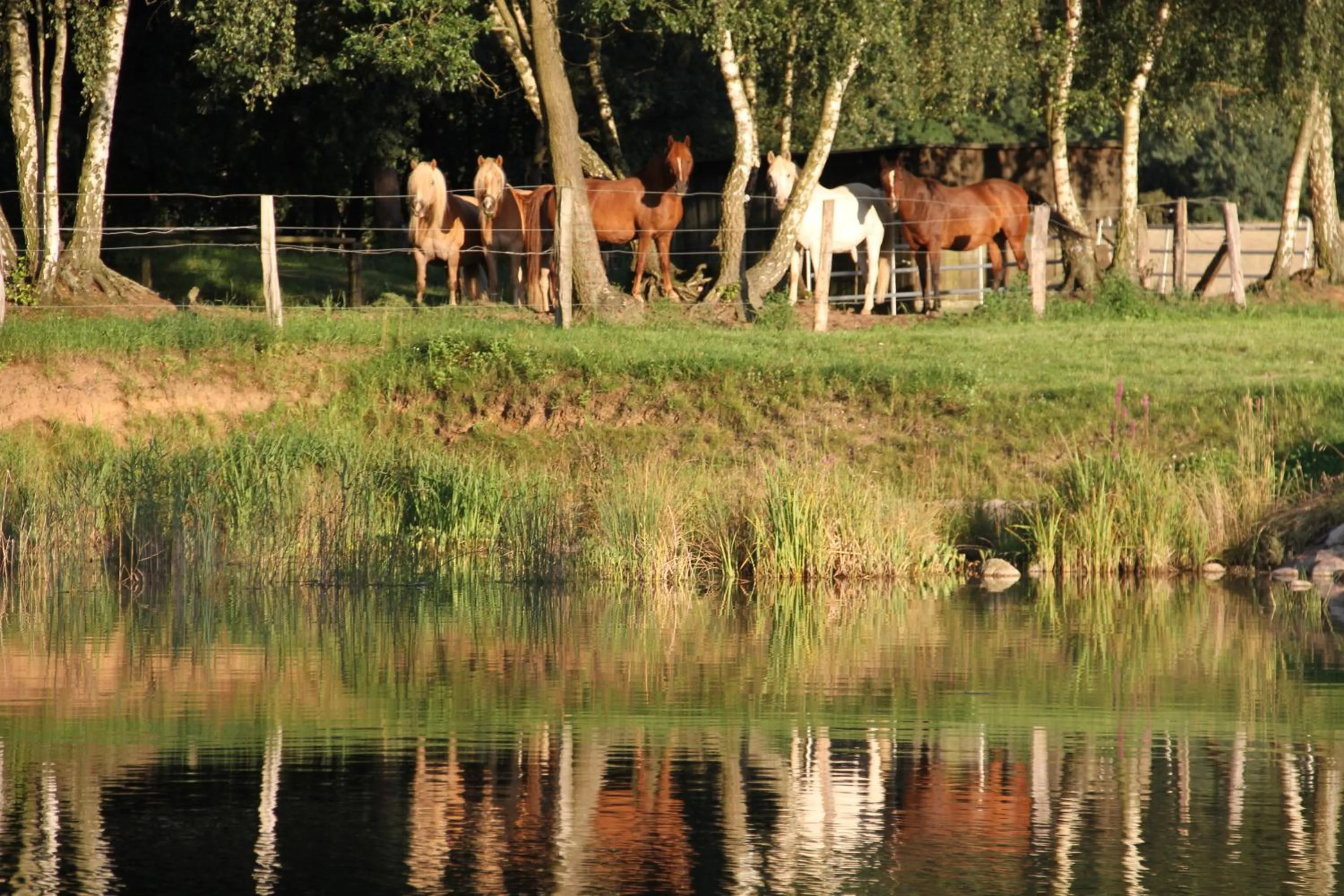 Garden in Kur-& Landhotel Borstel - Treff