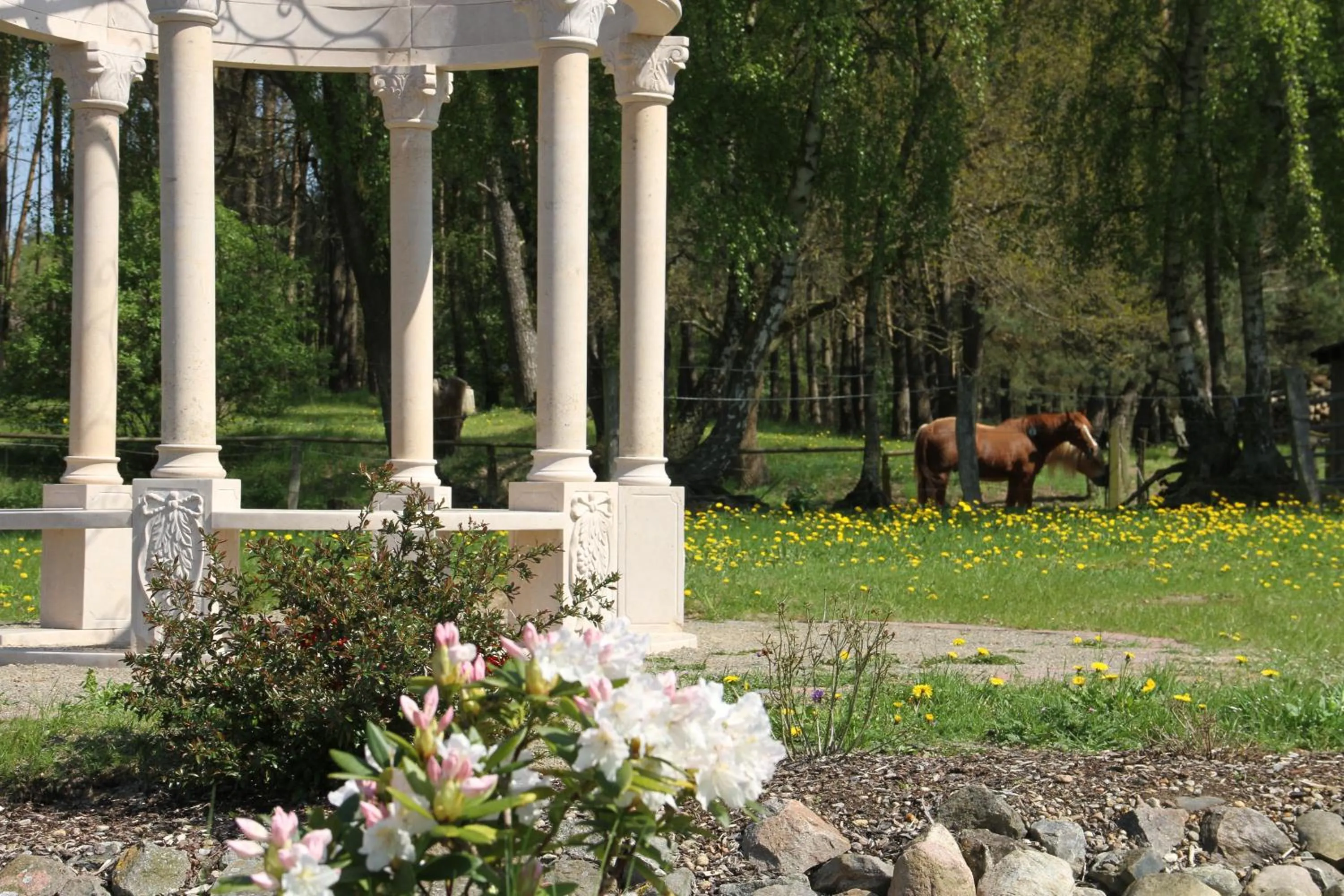 Garden in Kur-& Landhotel Borstel - Treff
