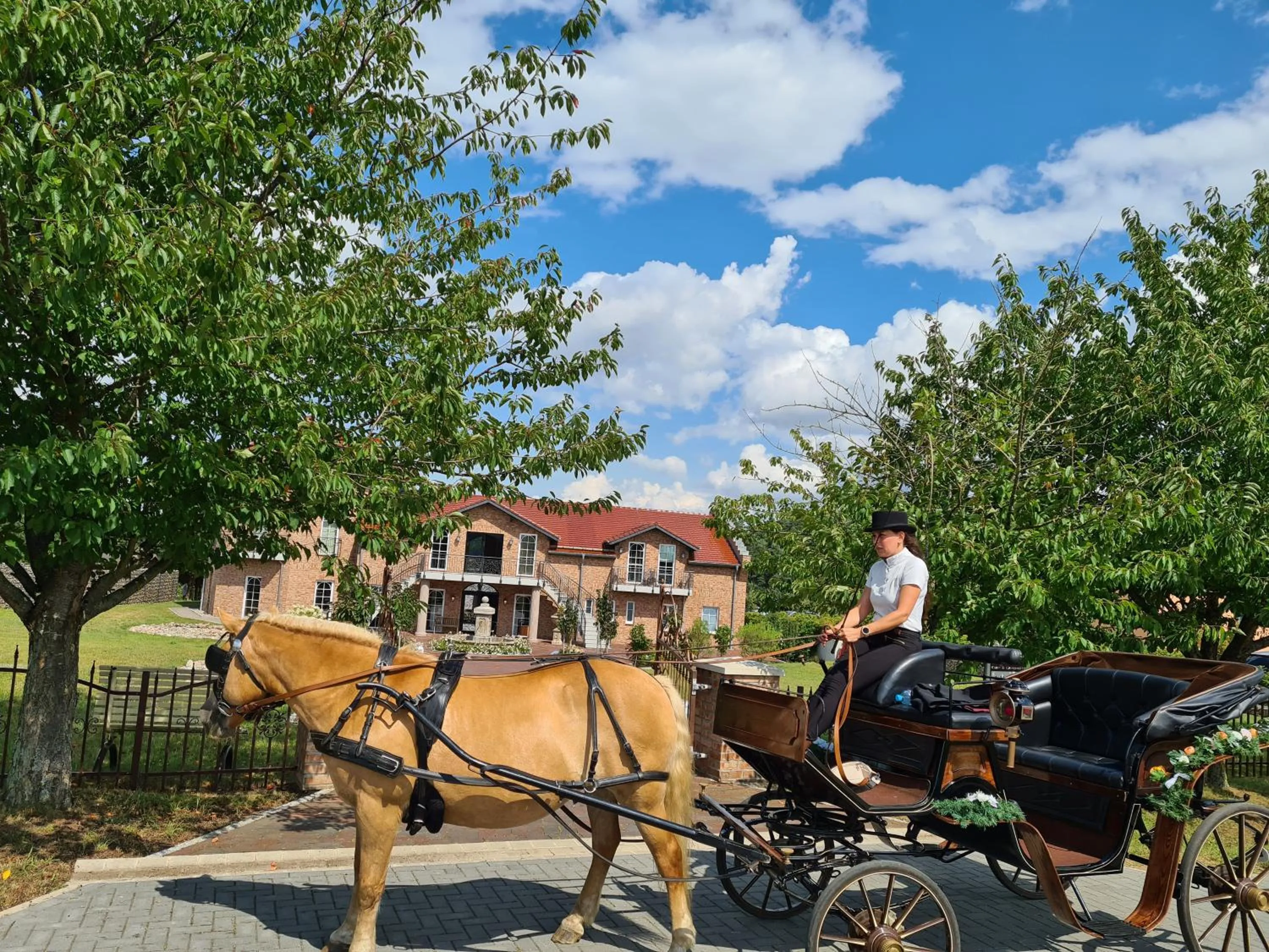 Property building in Kur-& Landhotel Borstel - Treff