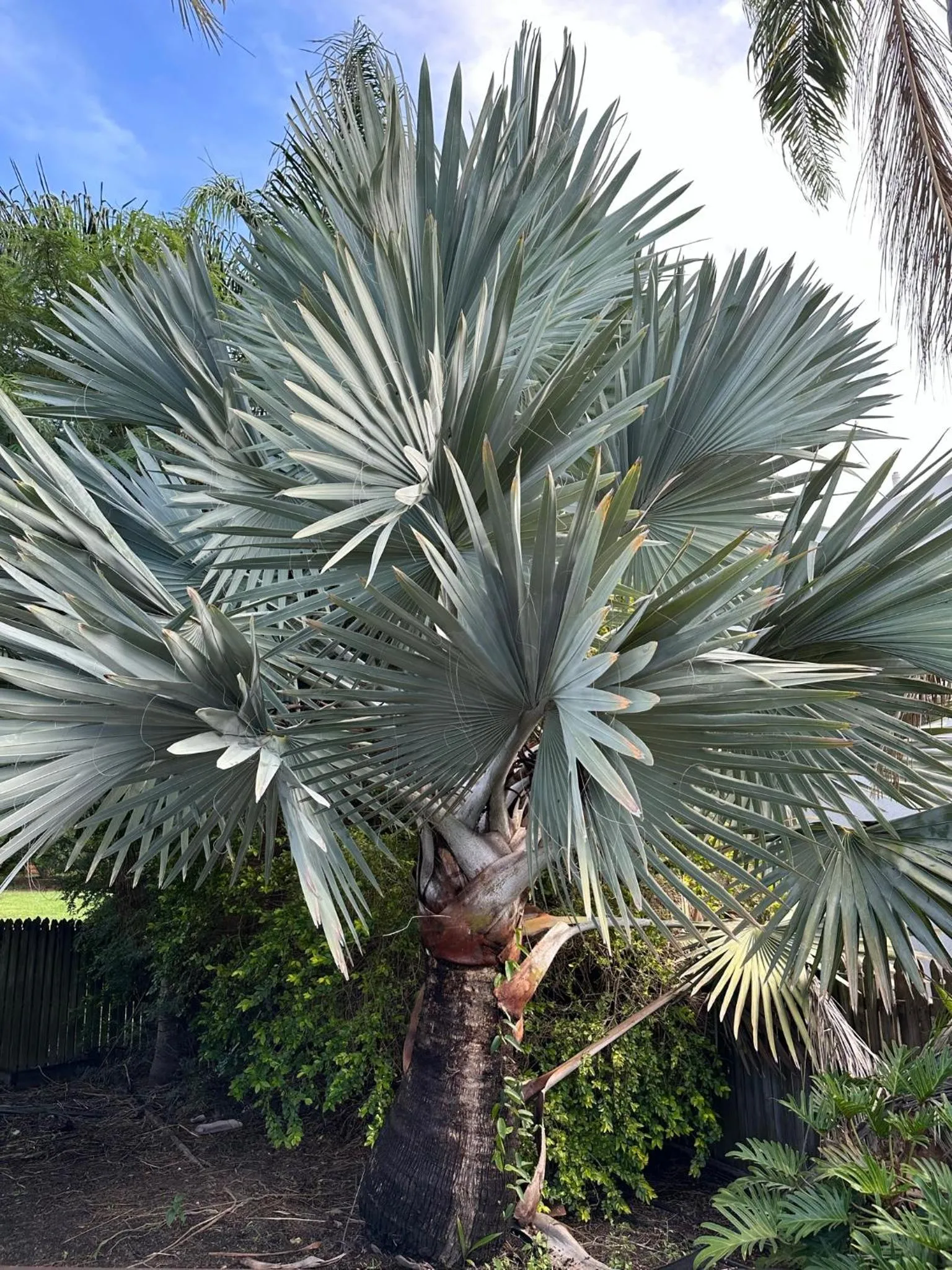 Property building in Quality Hotel Robertson Gardens
