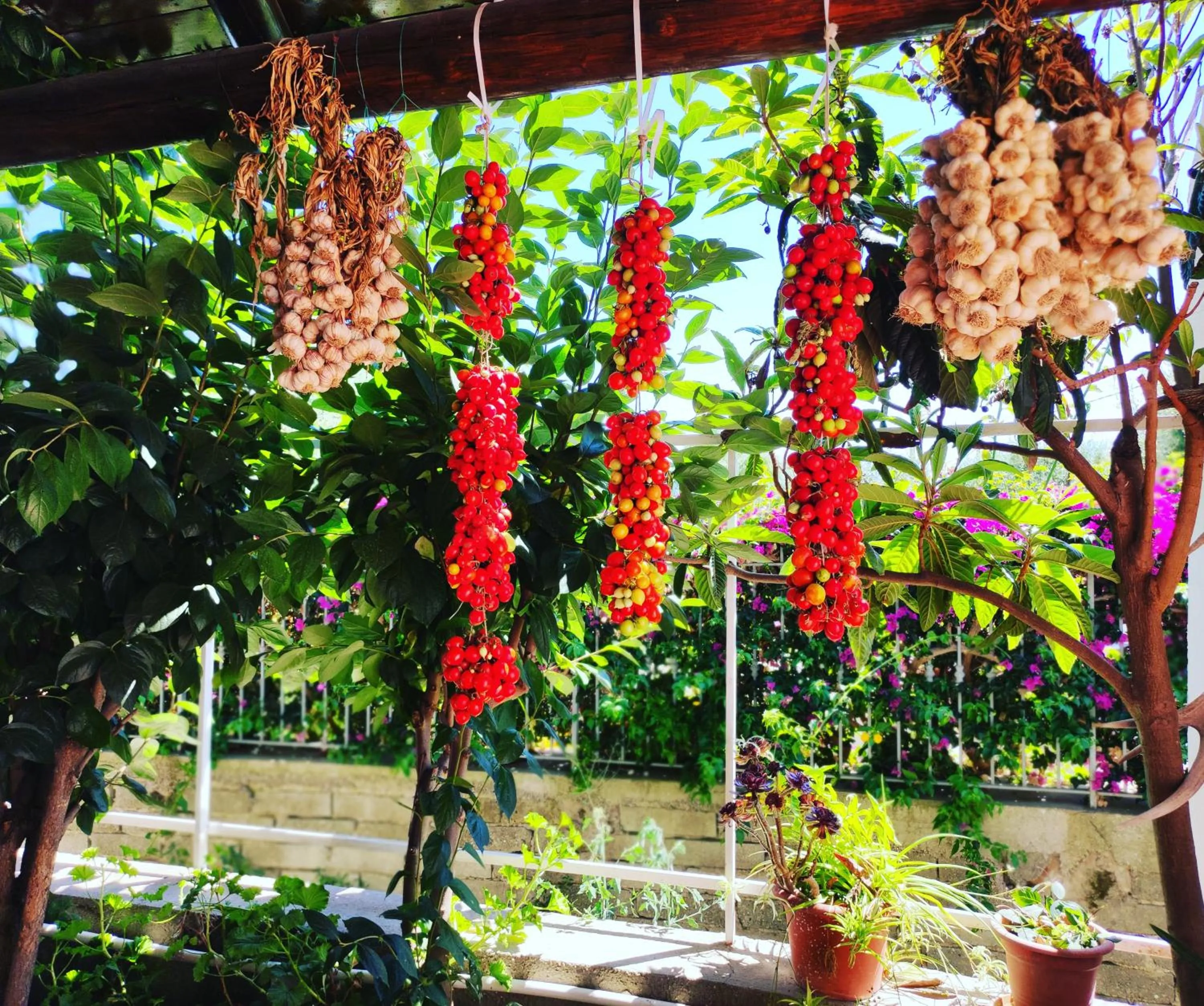 Restaurant/places to eat in Hotel Villa Bernardina