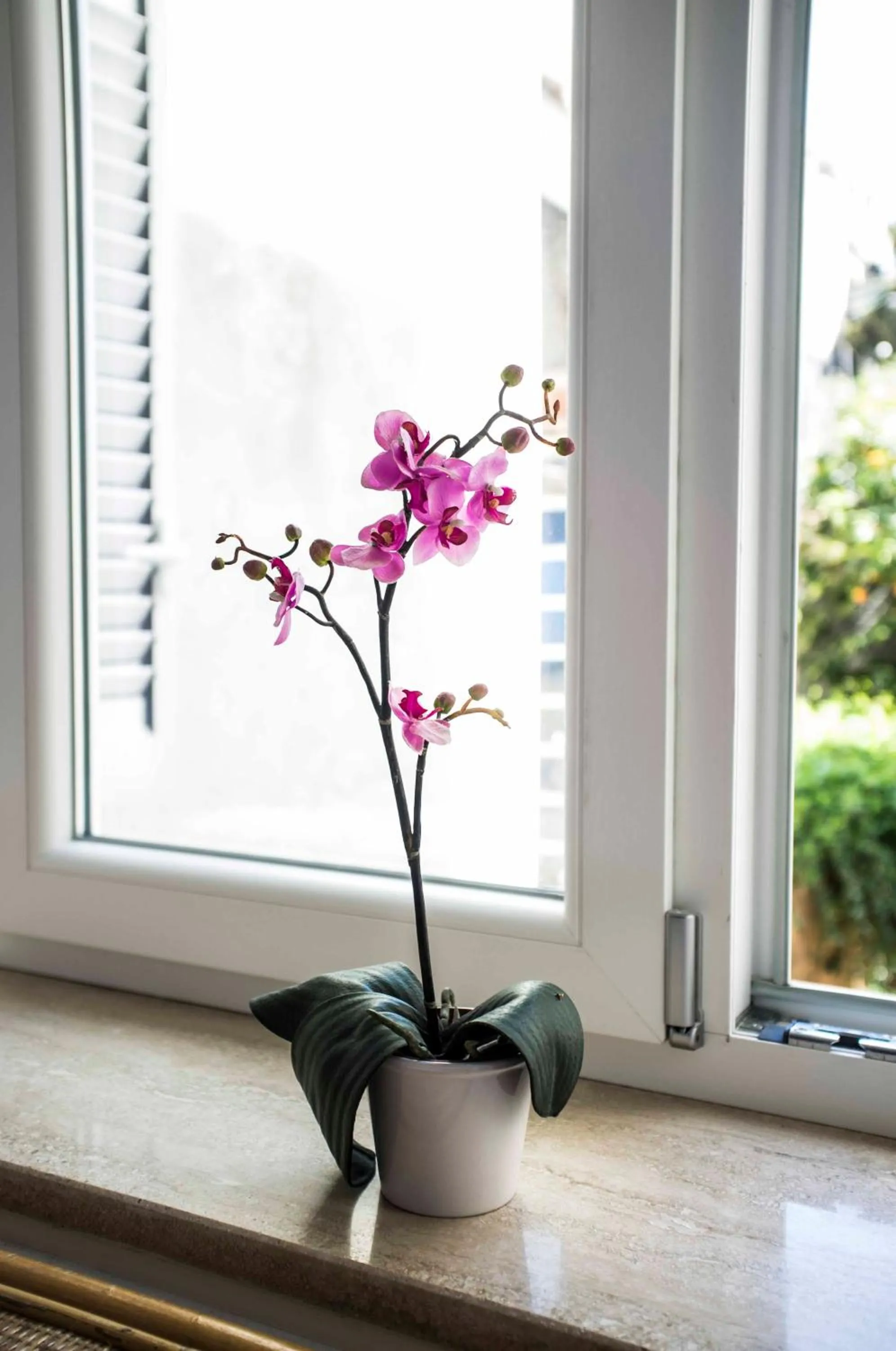 Property building in Villa Apollo B&B