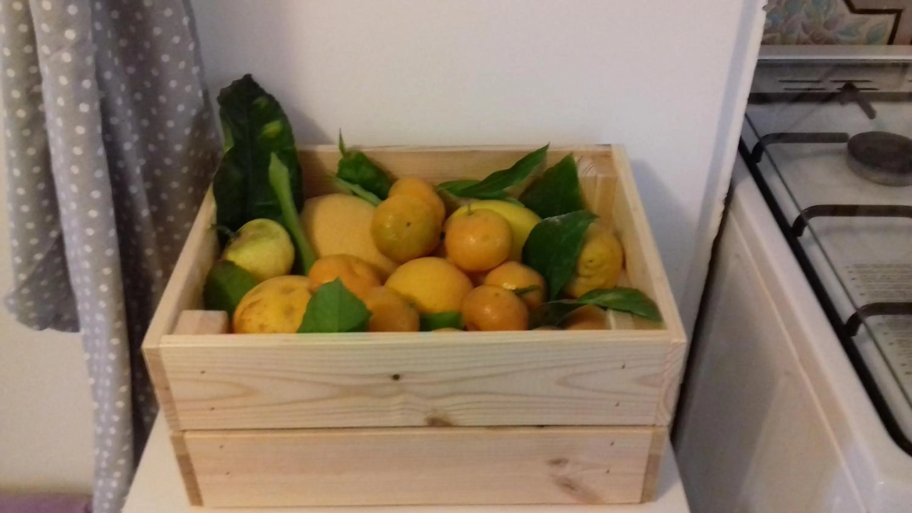 Food in Villa Apollo B&B