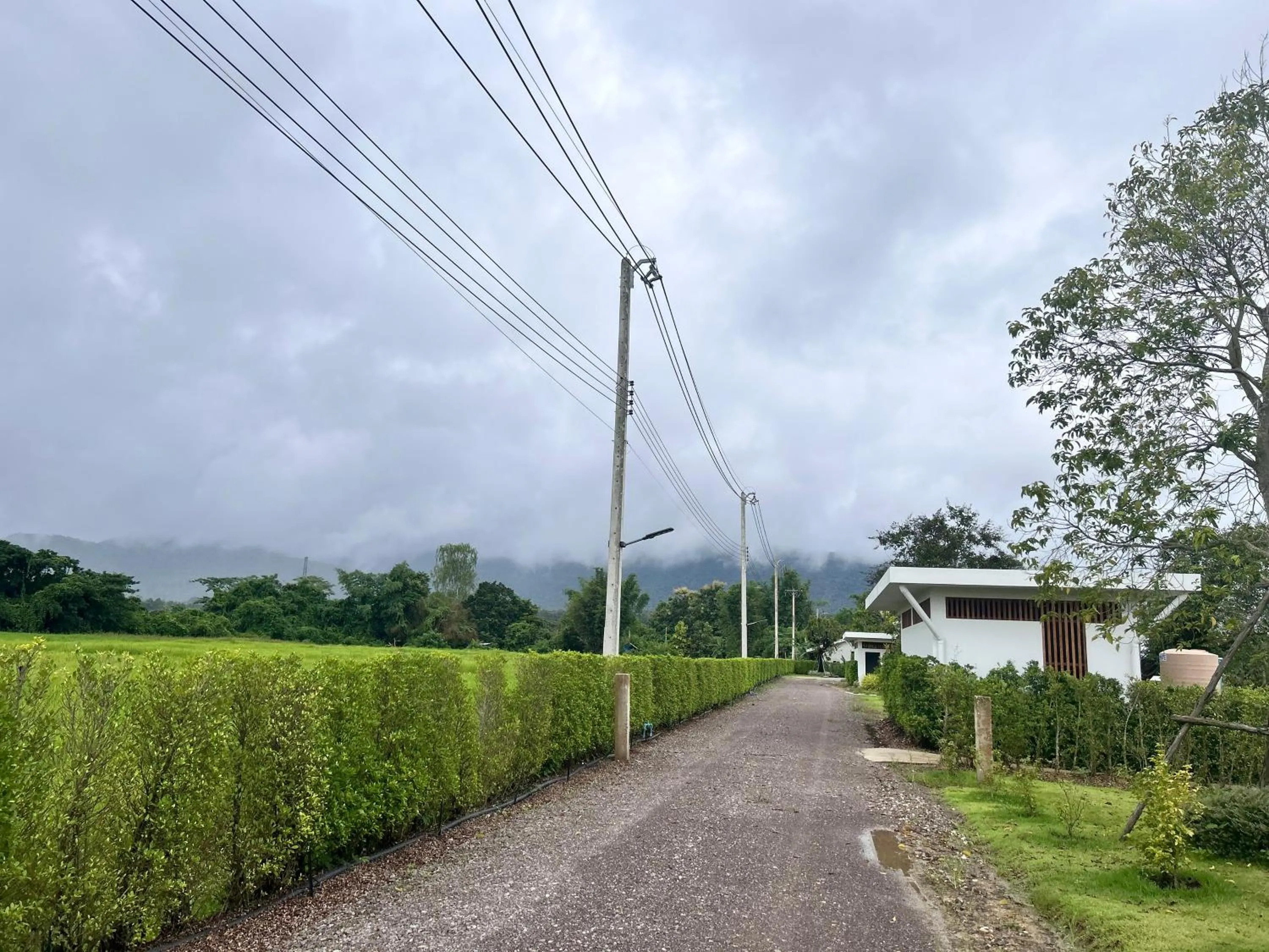 Natural landscape in Sumator Resort Chiangrai สูมาเต๊อะ รีสอร์ท เชียงราย