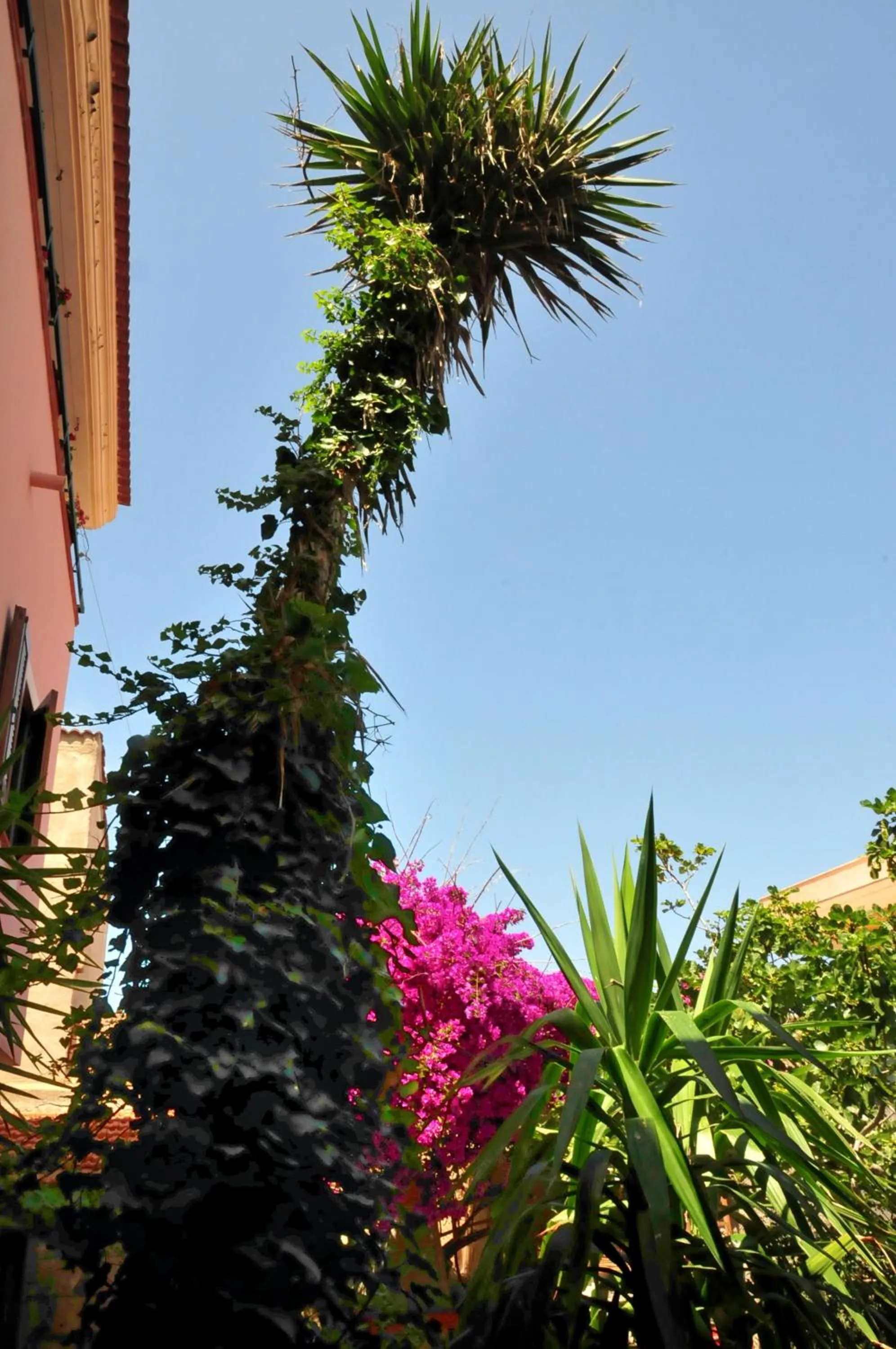 B&B L'Umbra di lu Soli