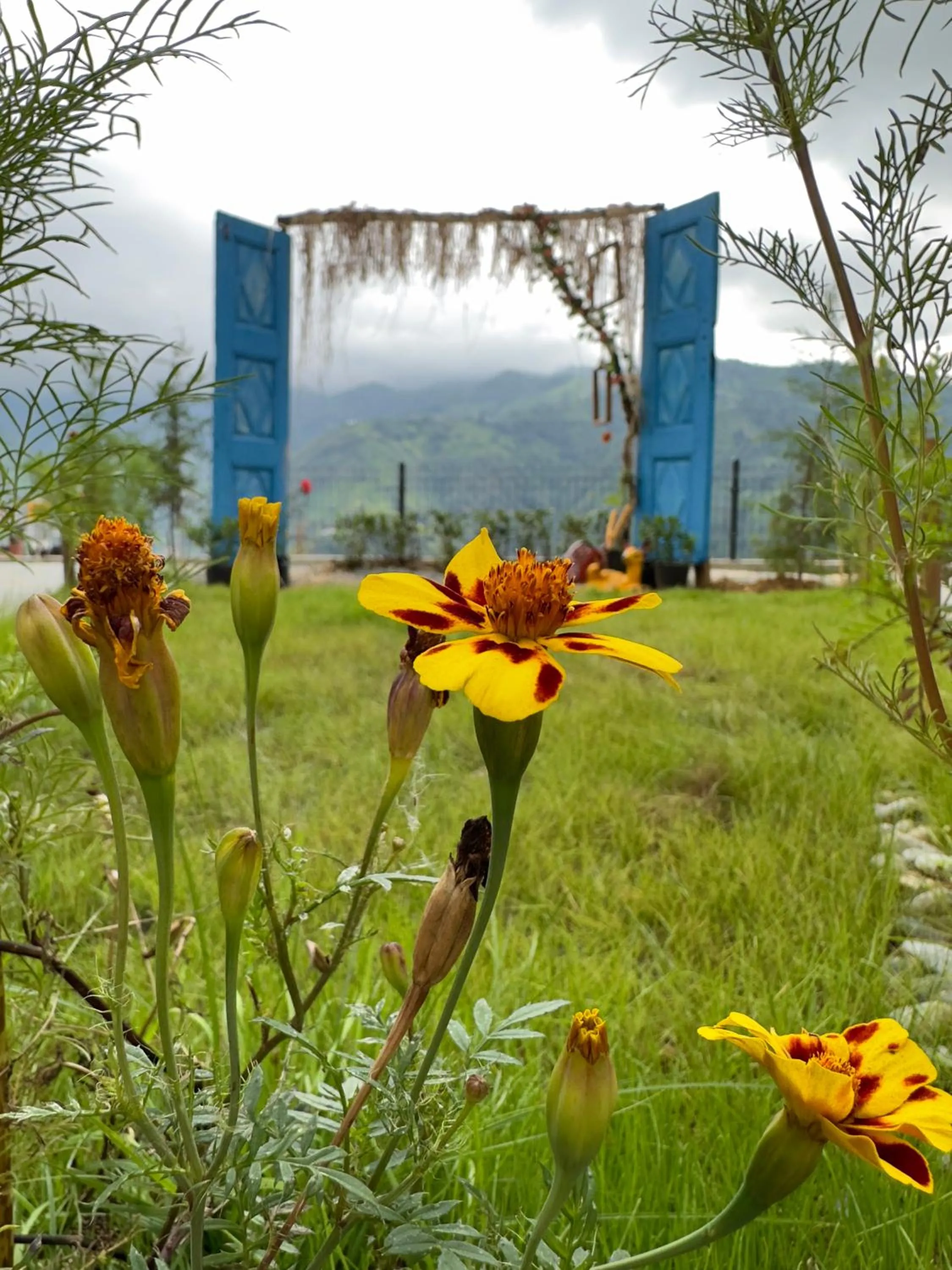 Spring in Cile Vadi Bungalov