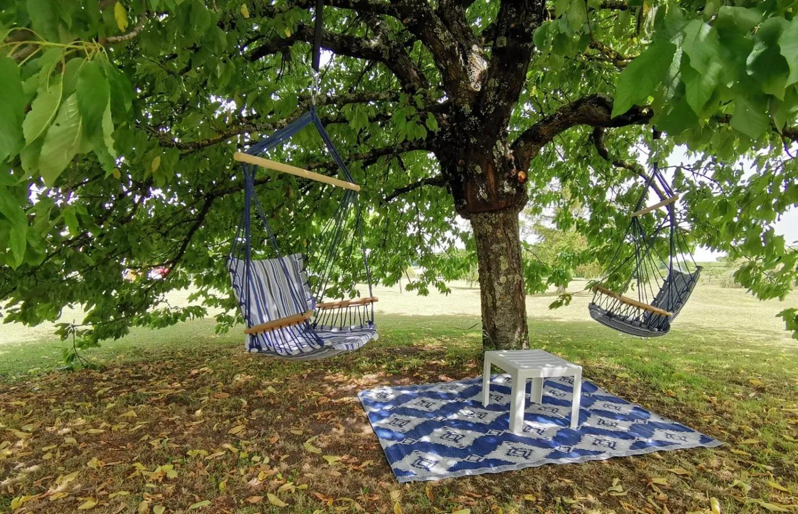 Garden in L'Ancienne Distillerie