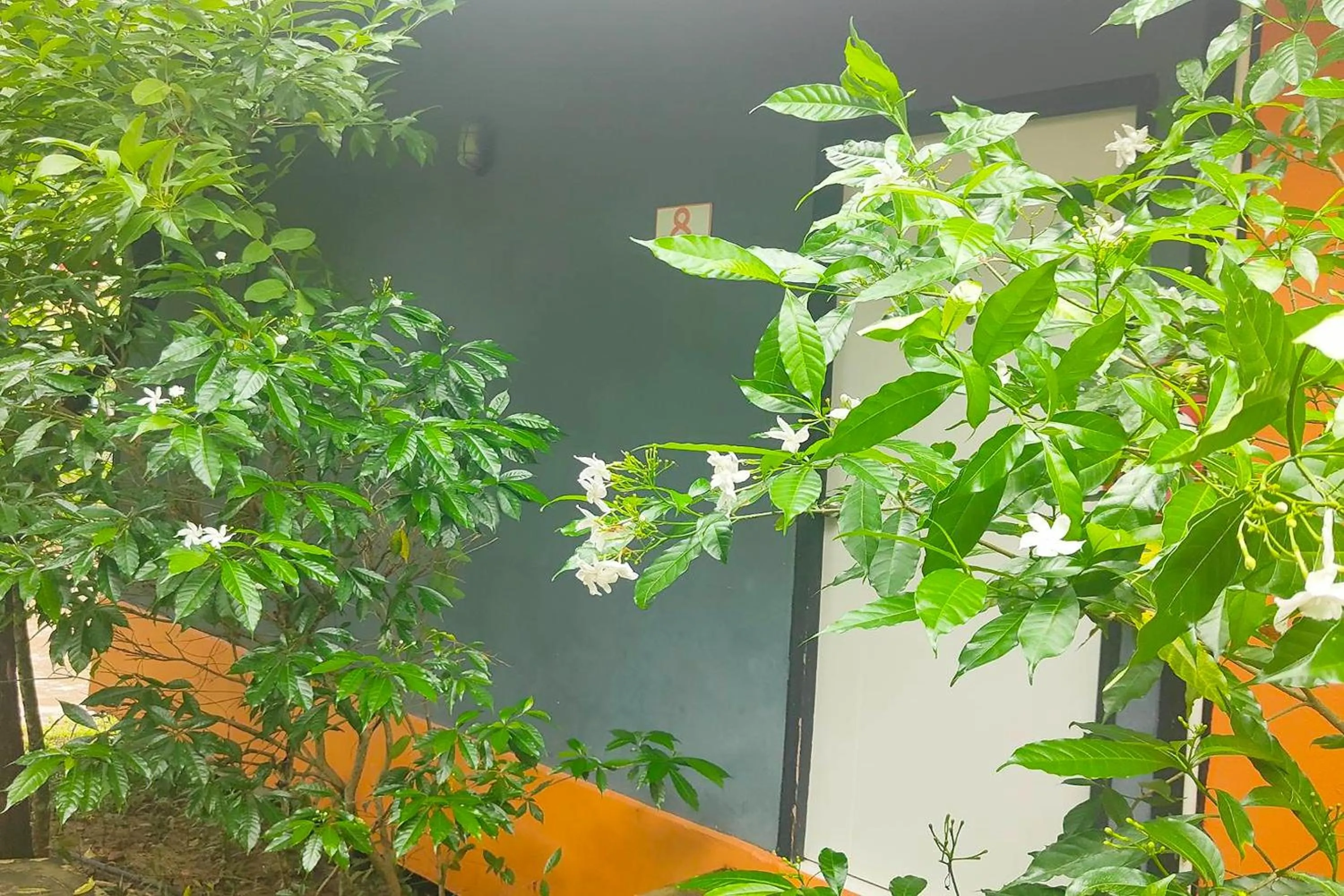 Spring in The Creek Resort