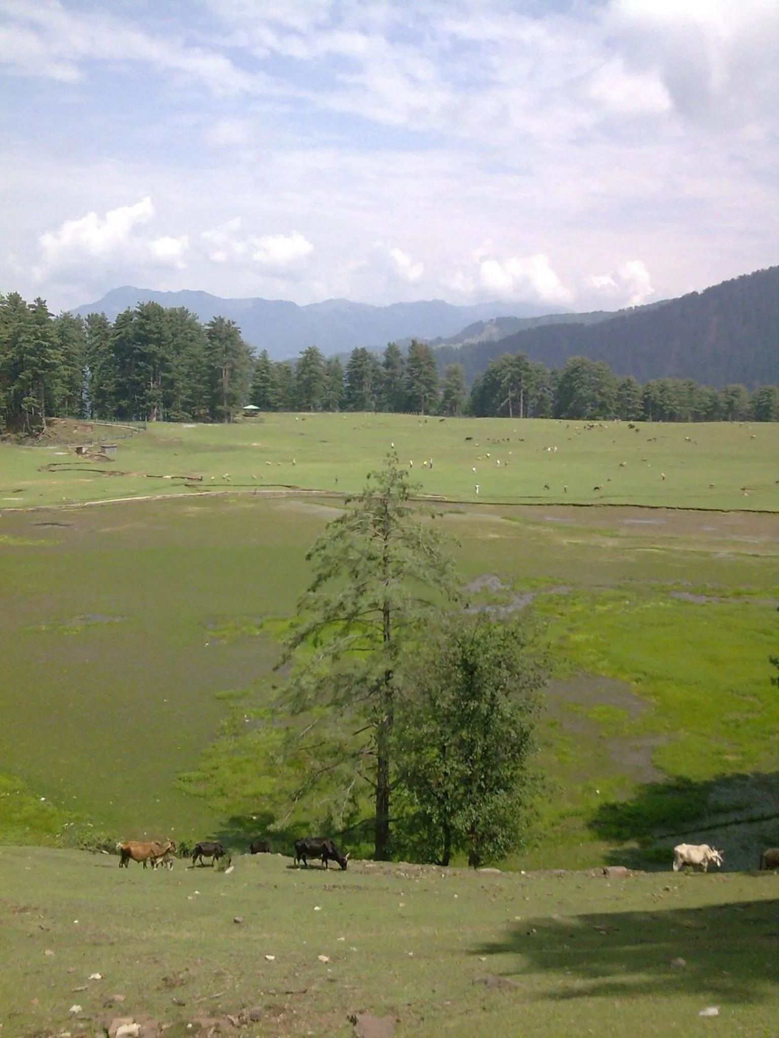 Natural landscape in Vardaan Hotels - PatniTop
