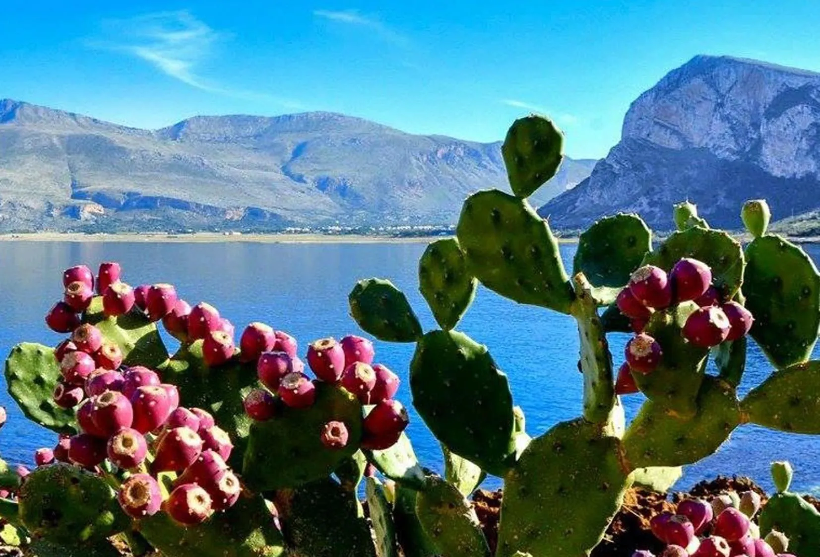 Natural landscape in Bed and Breakfast Sapore di Sale