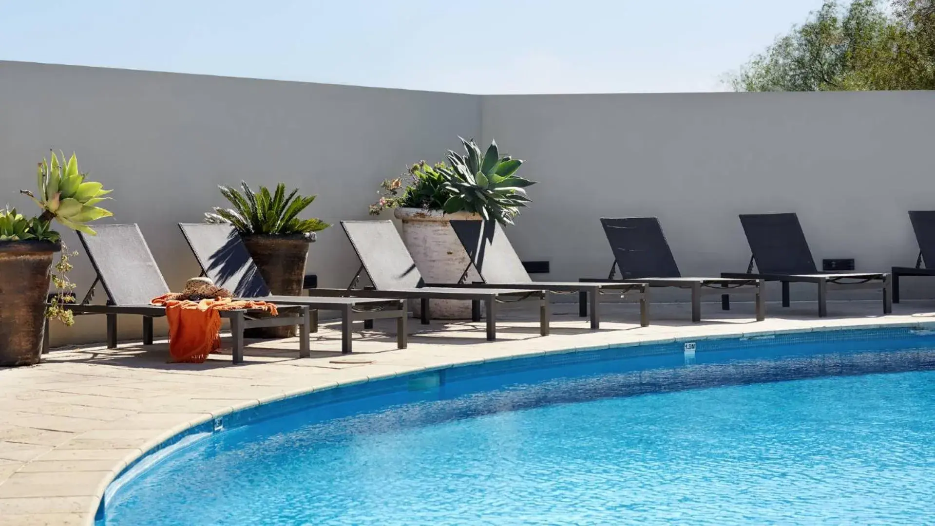 Swimming pool in Elysia Wellness Retreat Swimming pool in Elysia Wellness Retreat