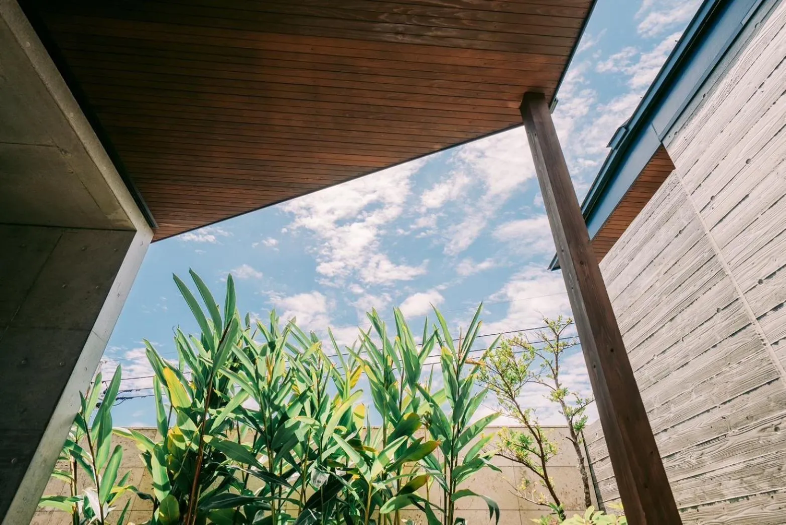 Photo of the whole room in Tanegashima Araki Bekkan