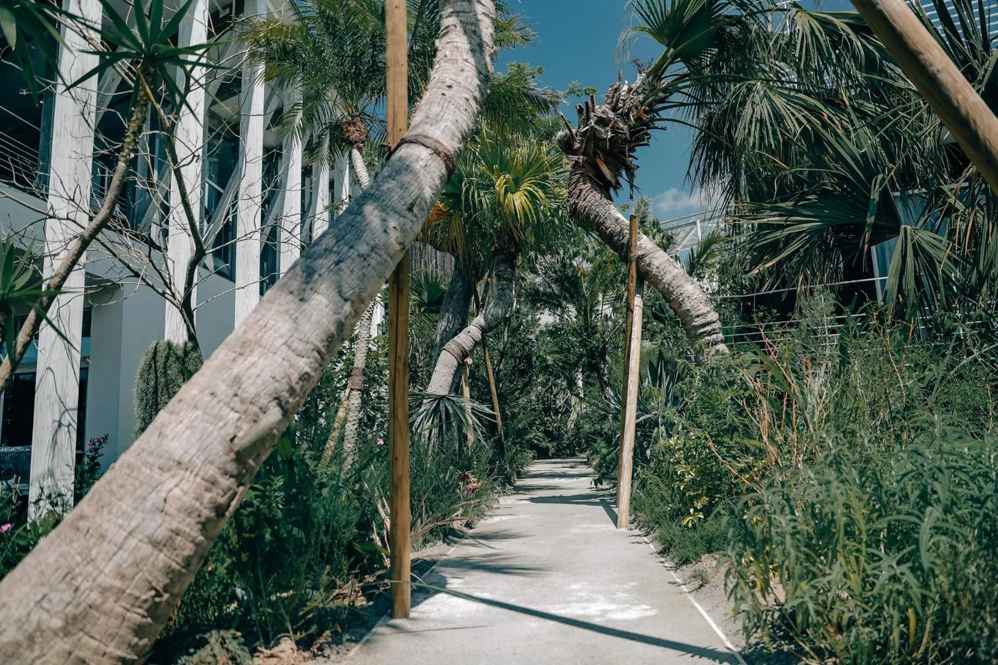 Garden in BOTANICAL POOL CLUB