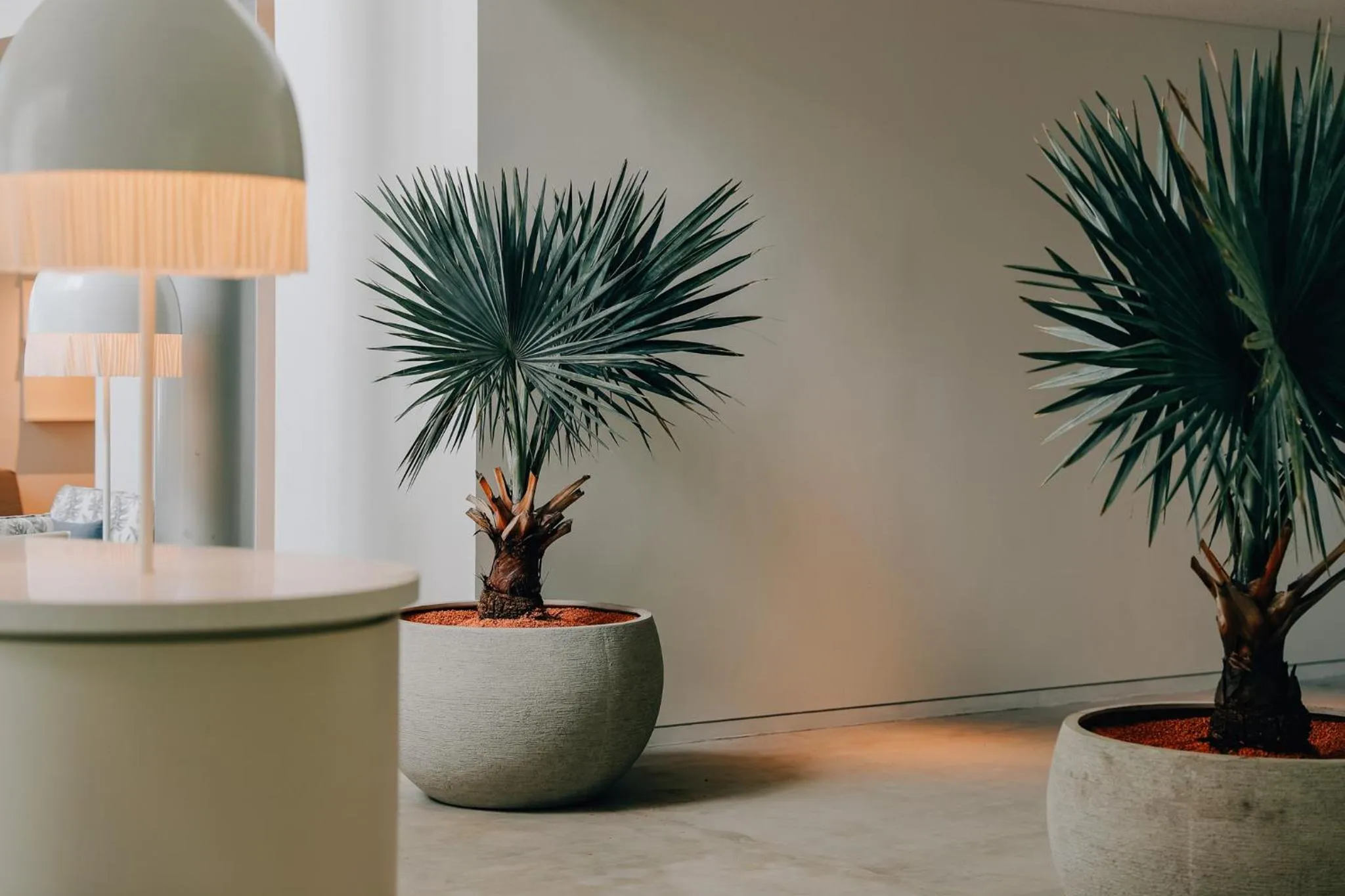 Lobby or reception in BOTANICAL POOL CLUB