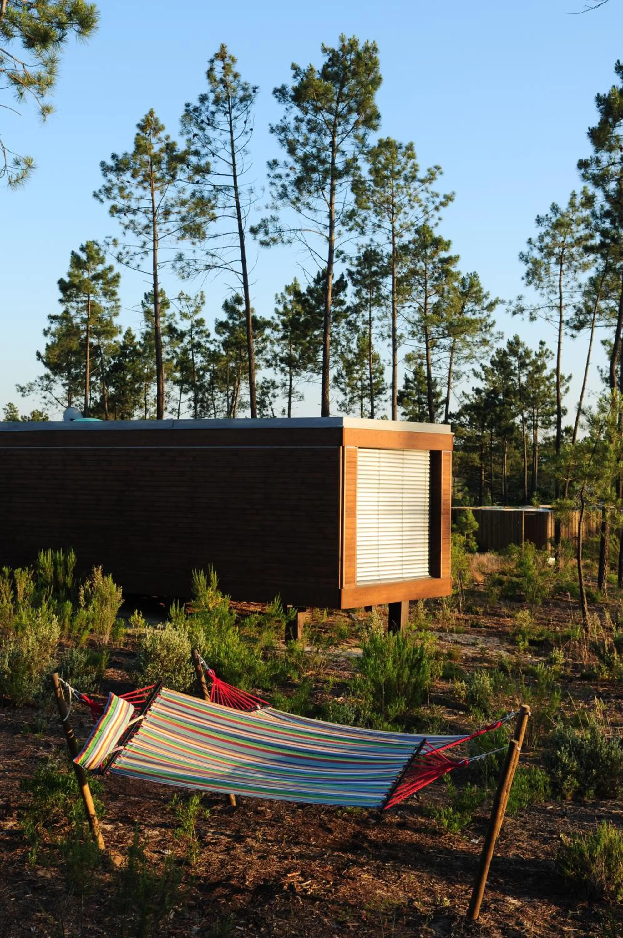 Garden in Cocoon Eco Design Lodges
