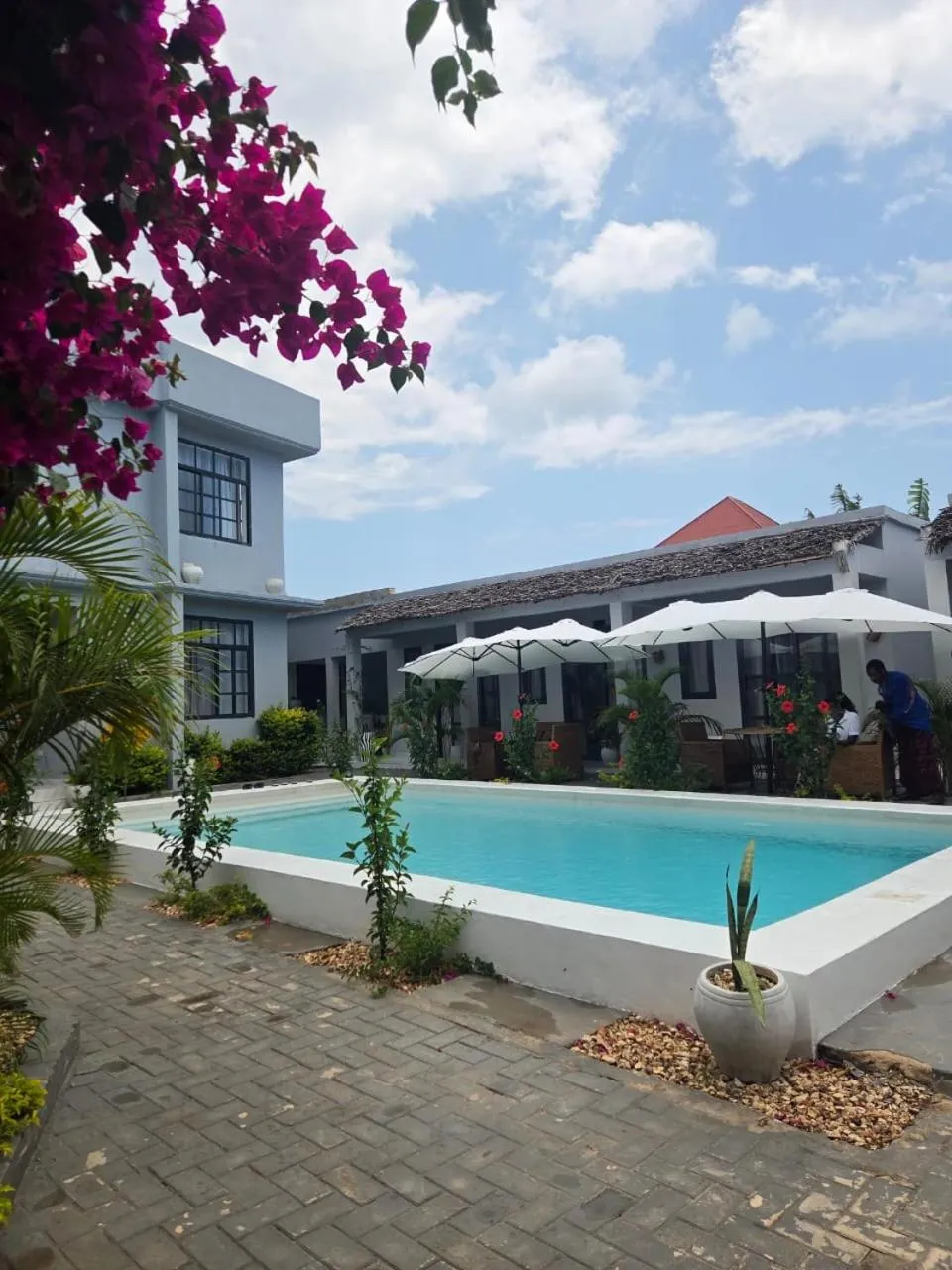 Property building in Terry's Villa Nungwi