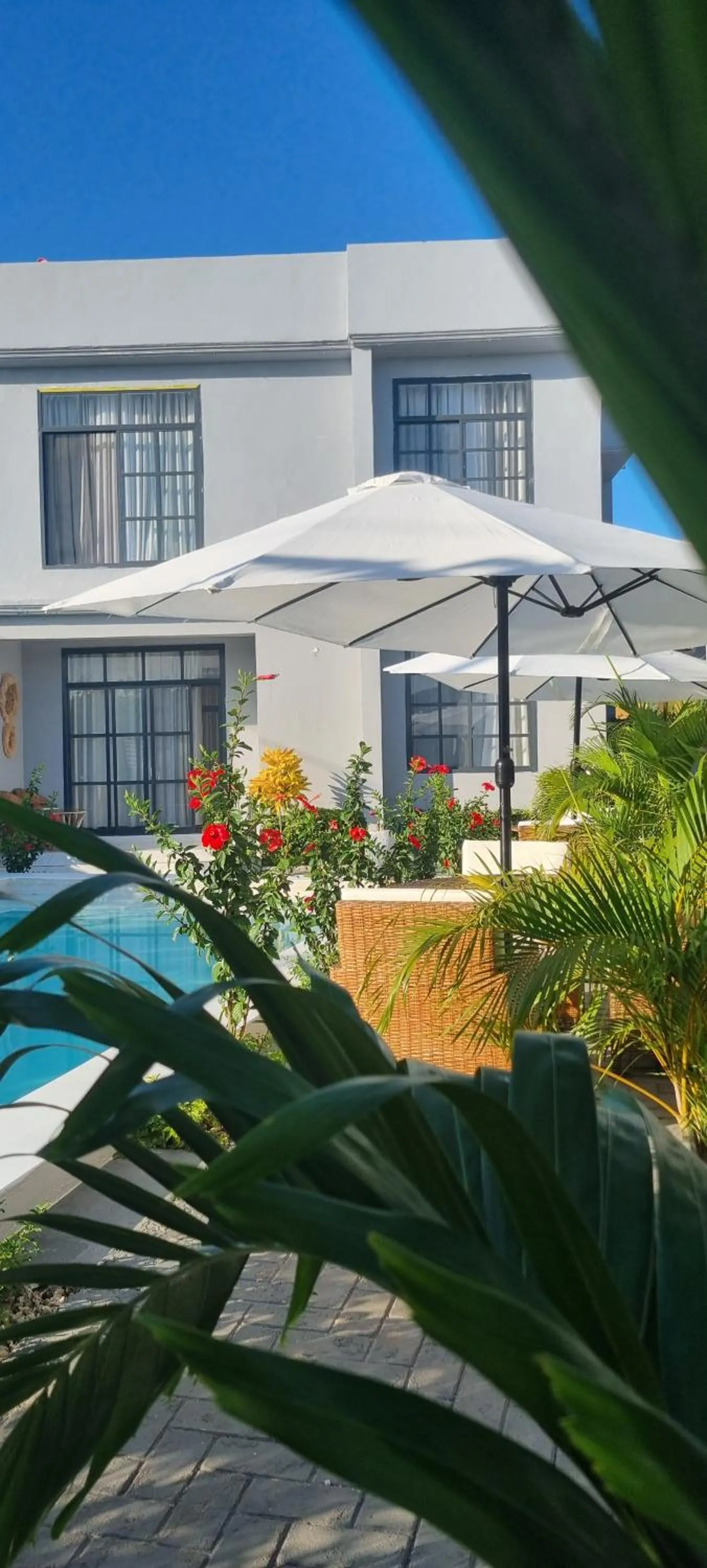 Day in Terry's Villa Nungwi