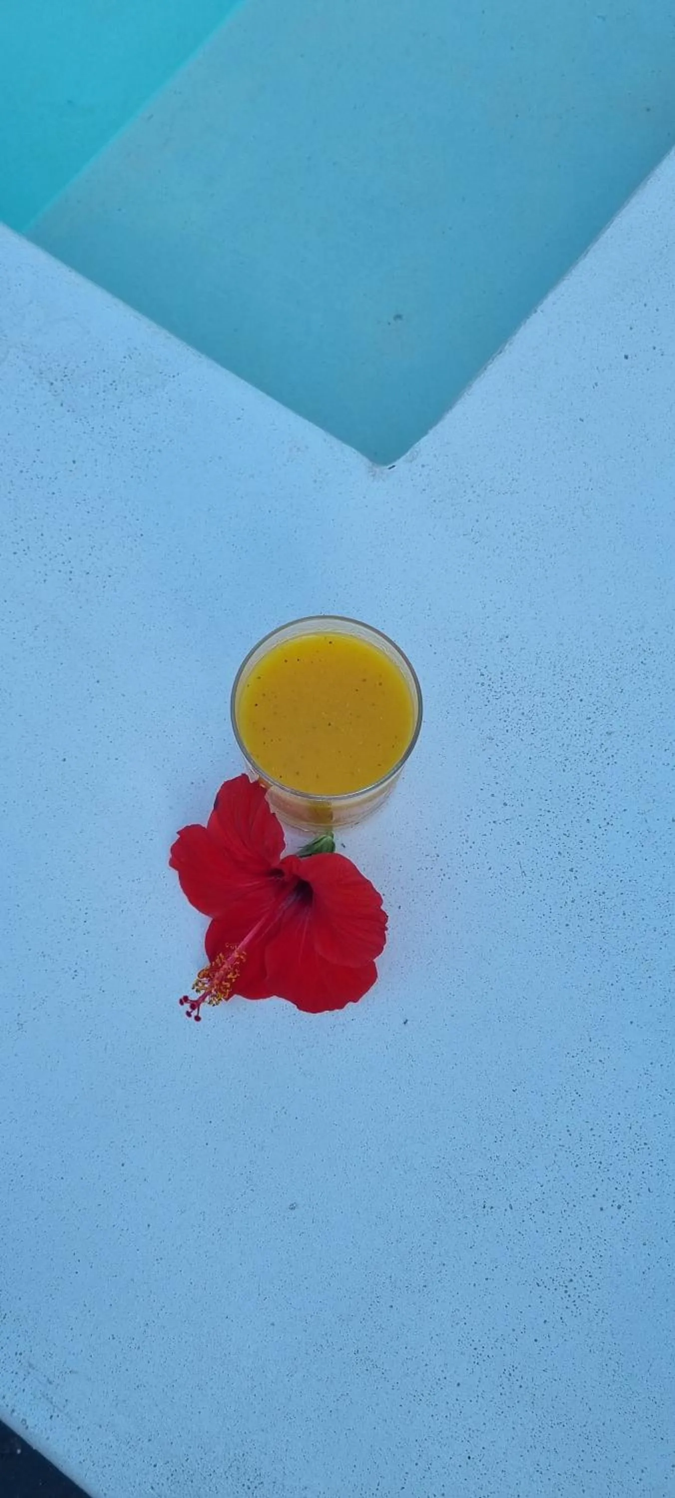 Pool view in Terry's Villa Nungwi