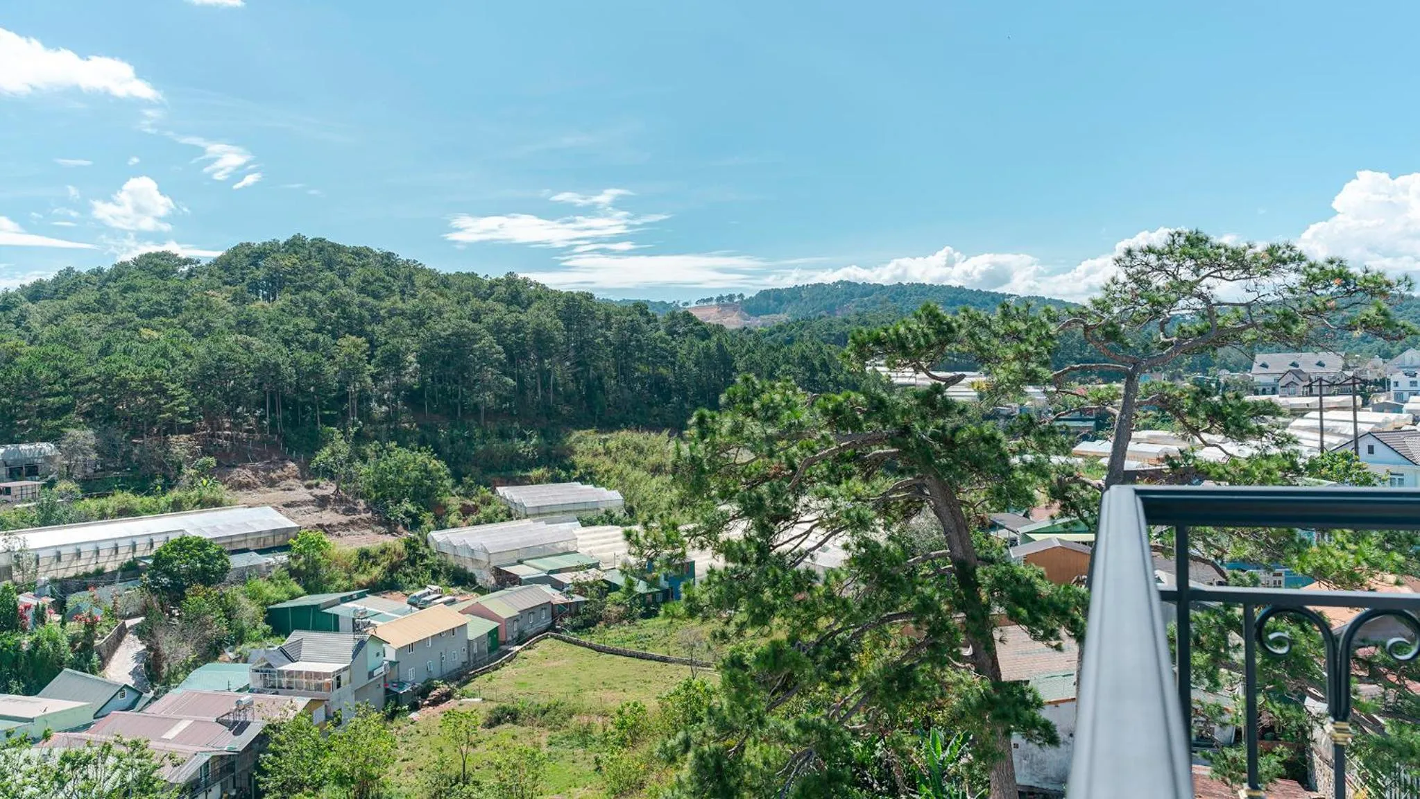 Spring in PINE VIEW Hotel Dalat