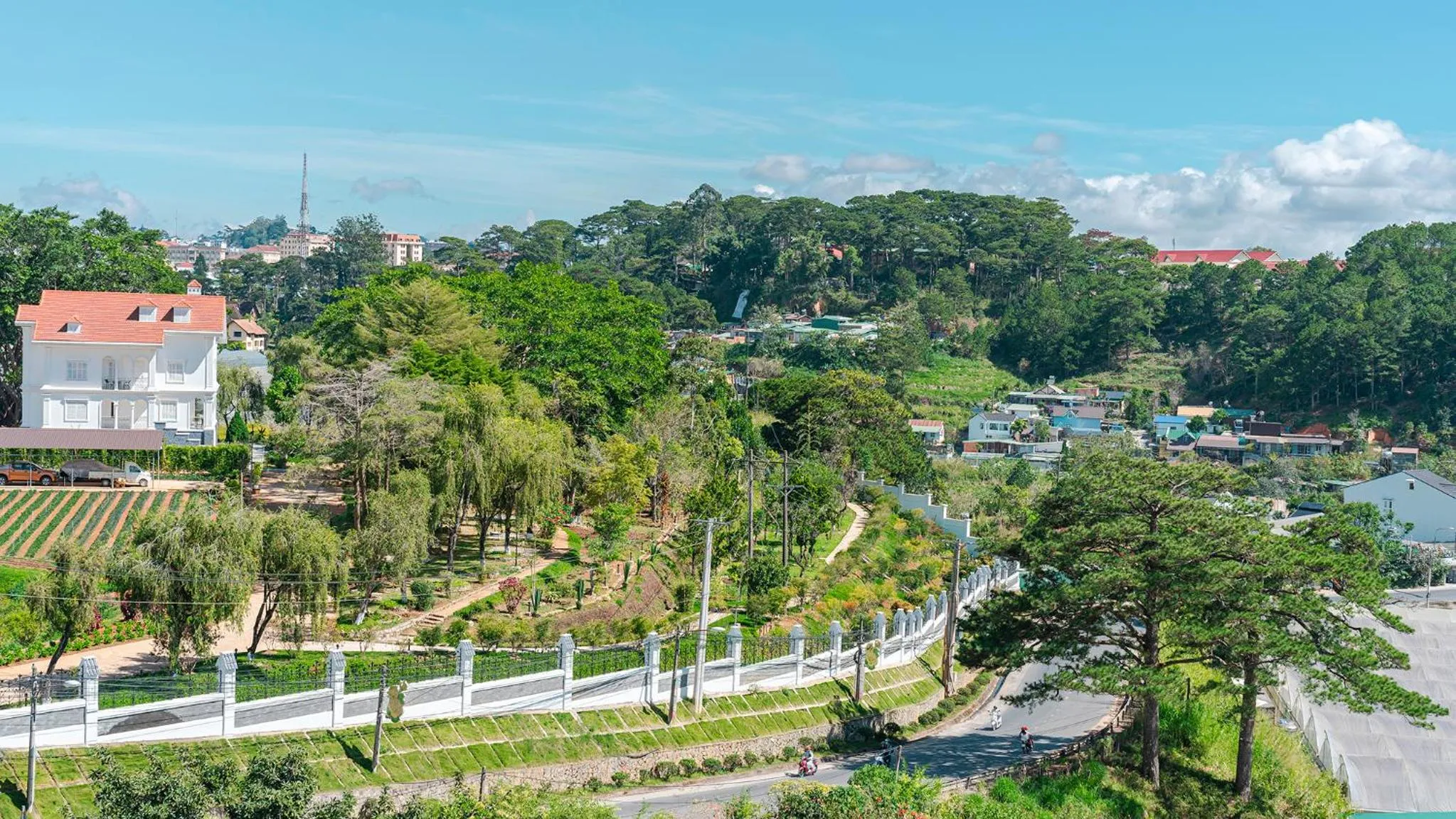 Natural landscape in PINE VIEW Hotel Dalat