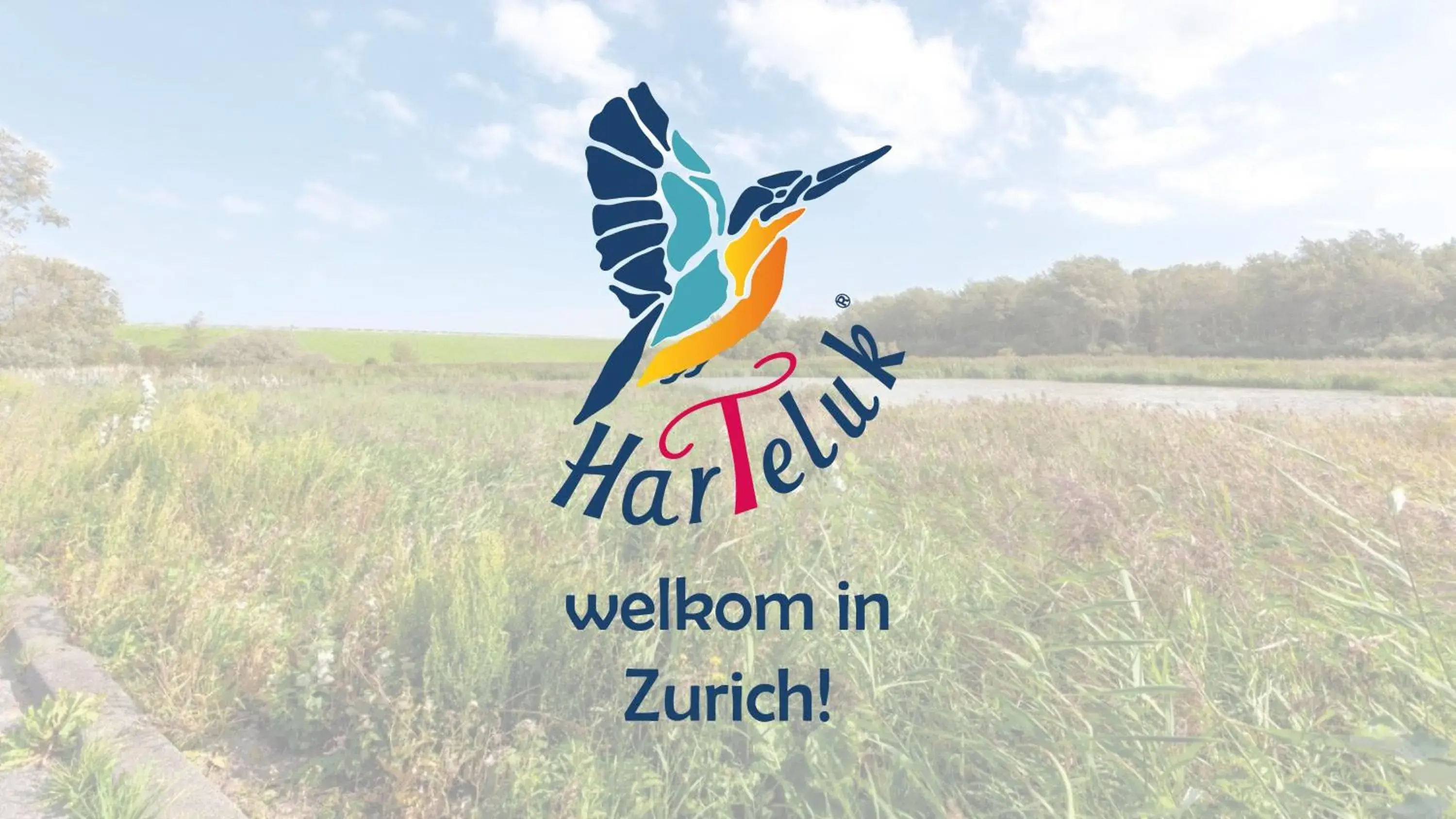 HarTeluk Afsluitdijk Zurich HarTeluk Afsluitdijk Zurich