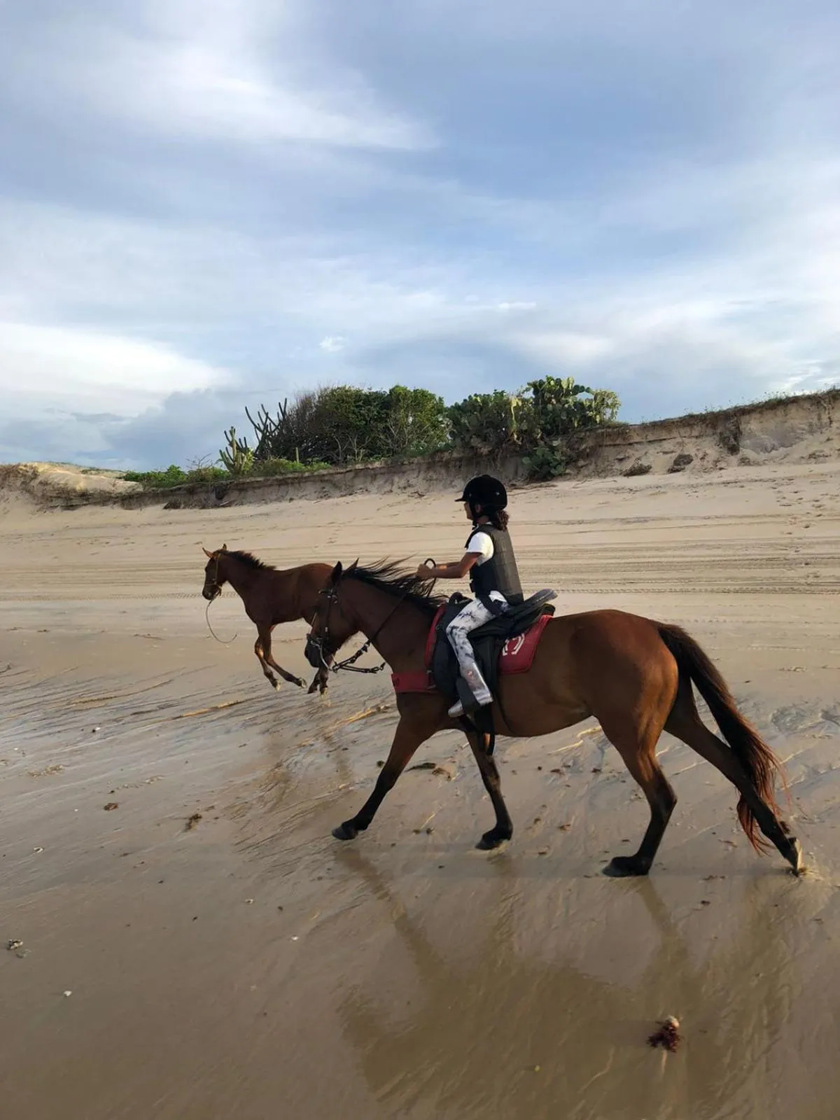 Horse-riding in Pousada Casa Do Cocotier