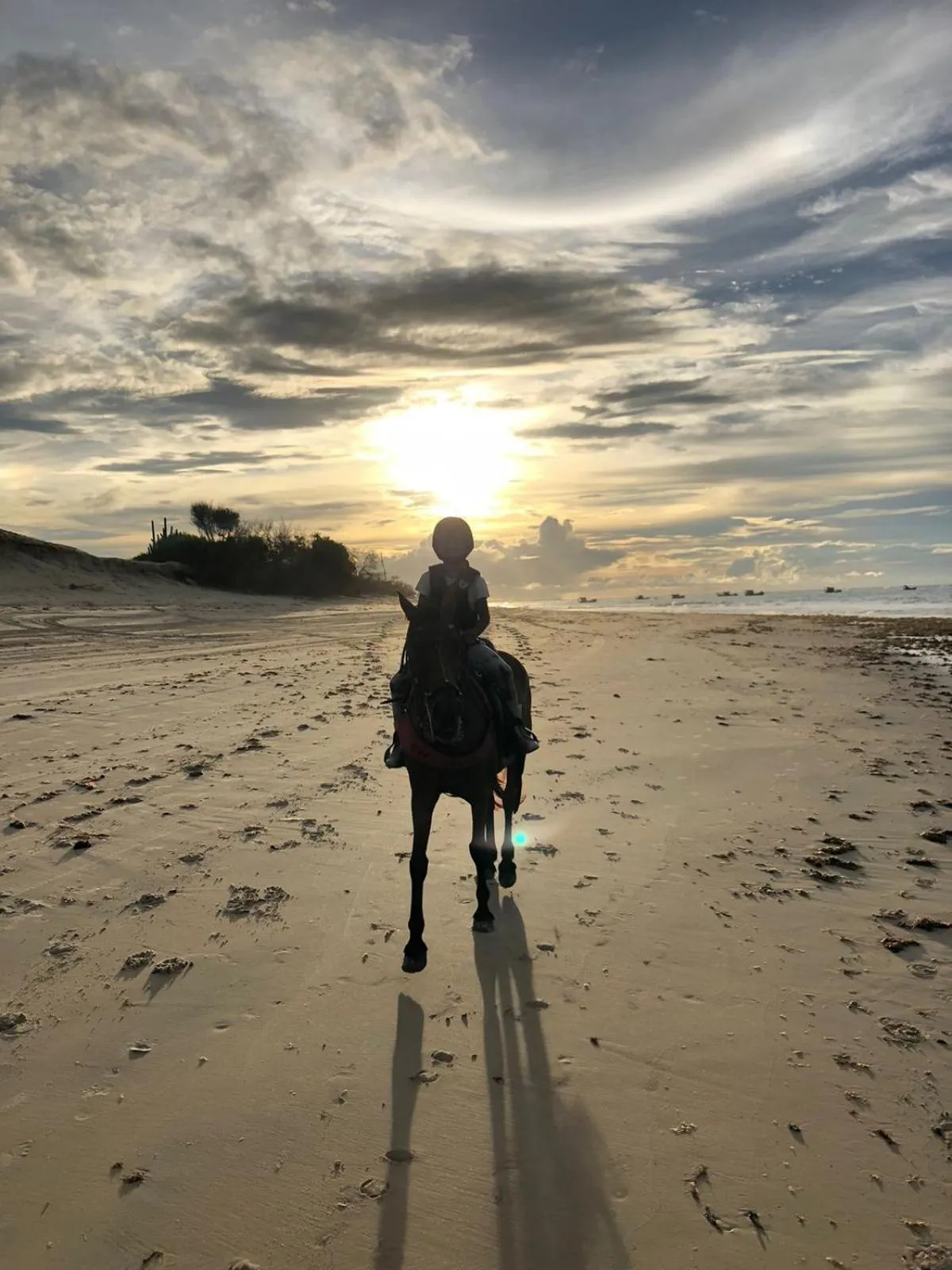 Horse-riding in Pousada Casa Do Cocotier