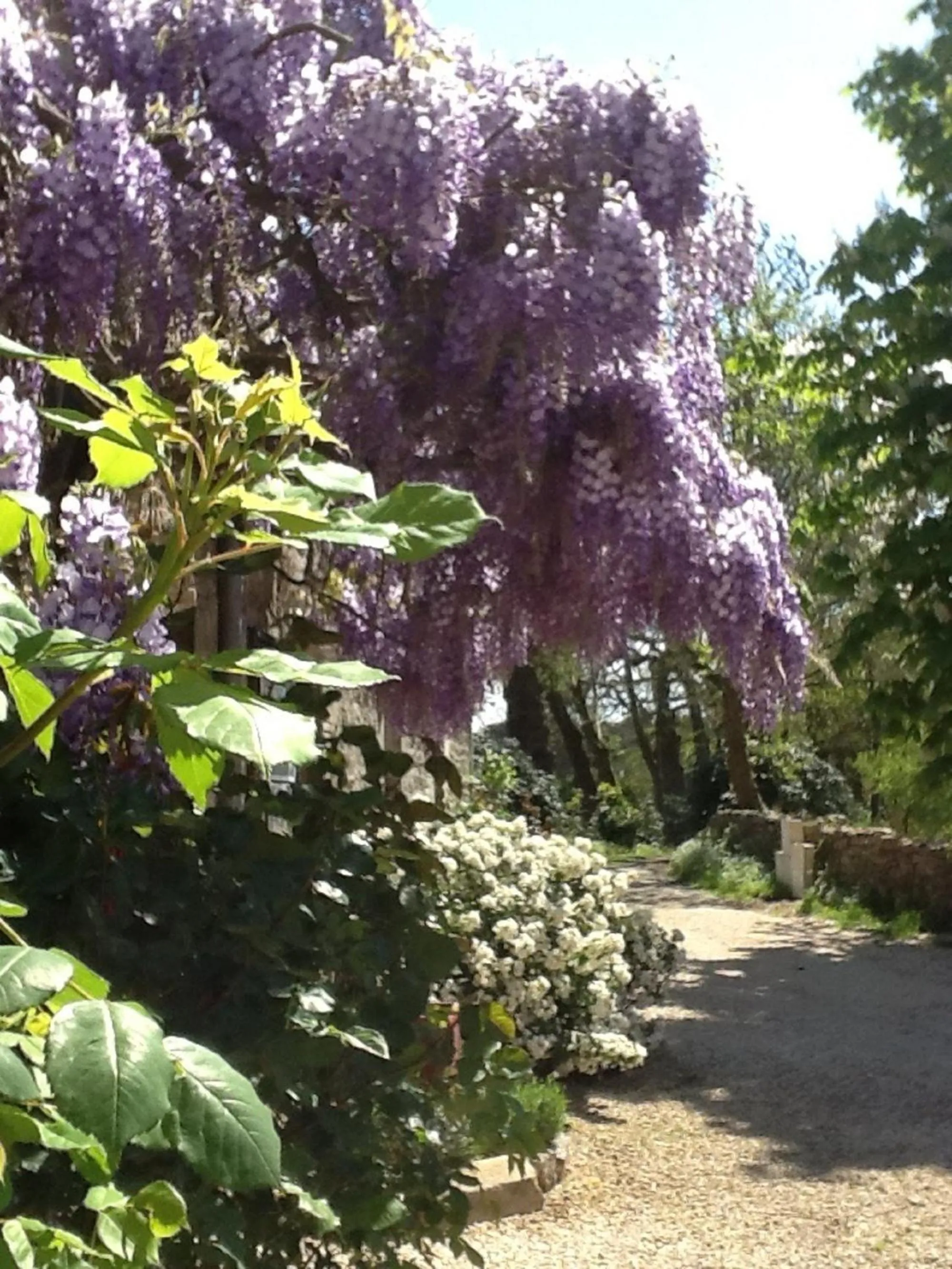 Garden in La Ferme de Kerraoul