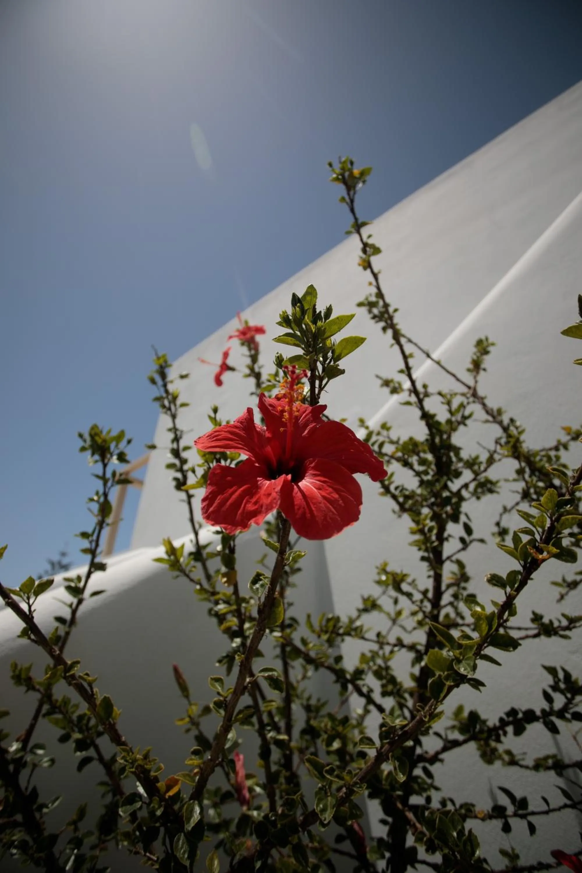 Day in Irida Vacation Suites