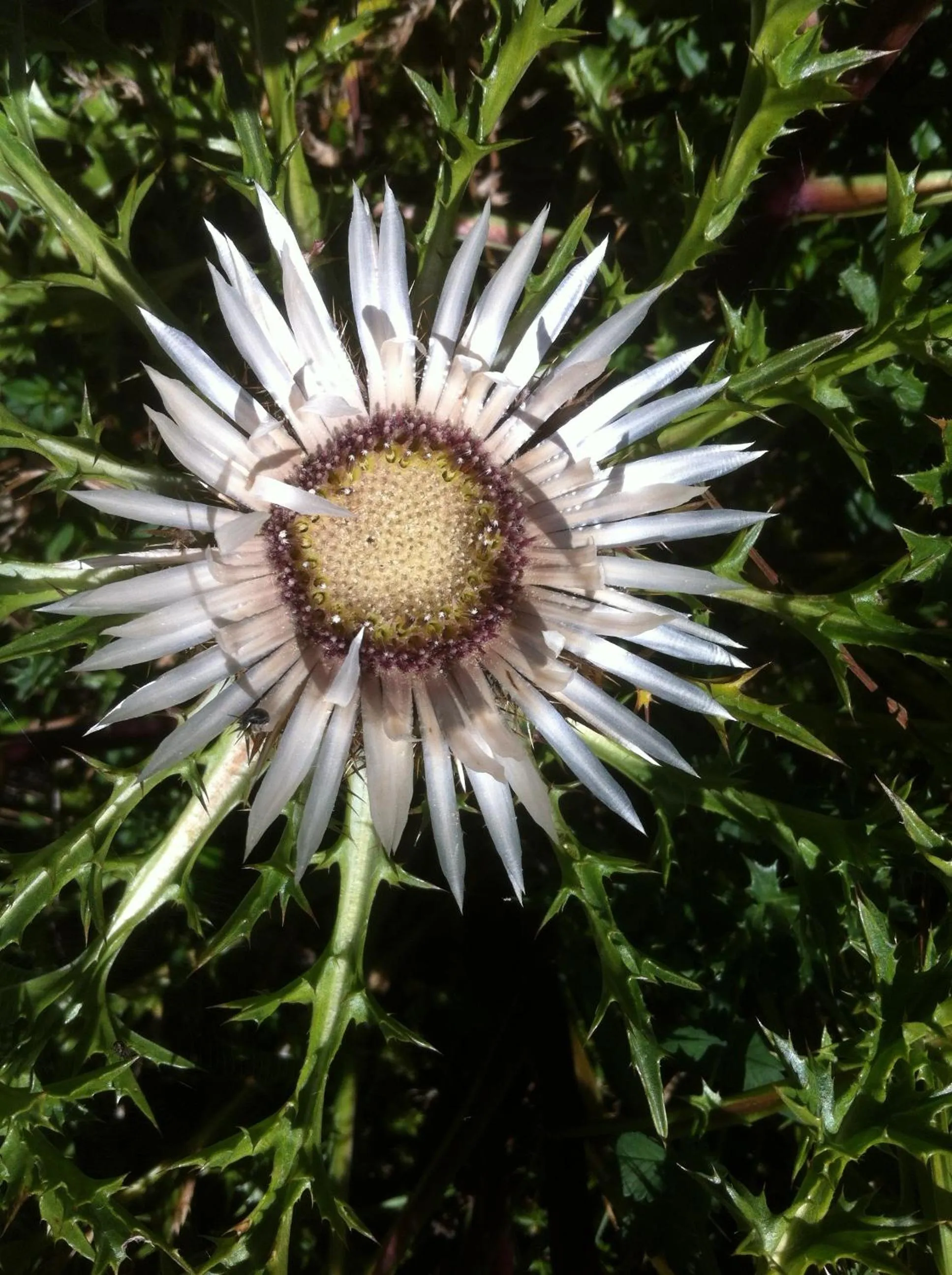 Decorative detail in Les Gîtes du Cairn