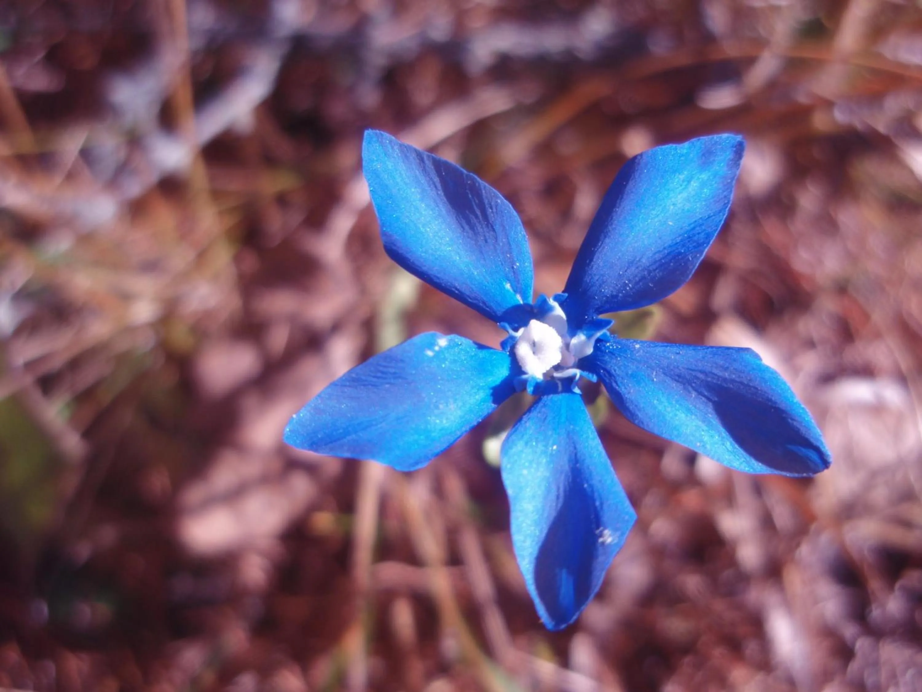 Decorative detail in Les Gîtes du Cairn