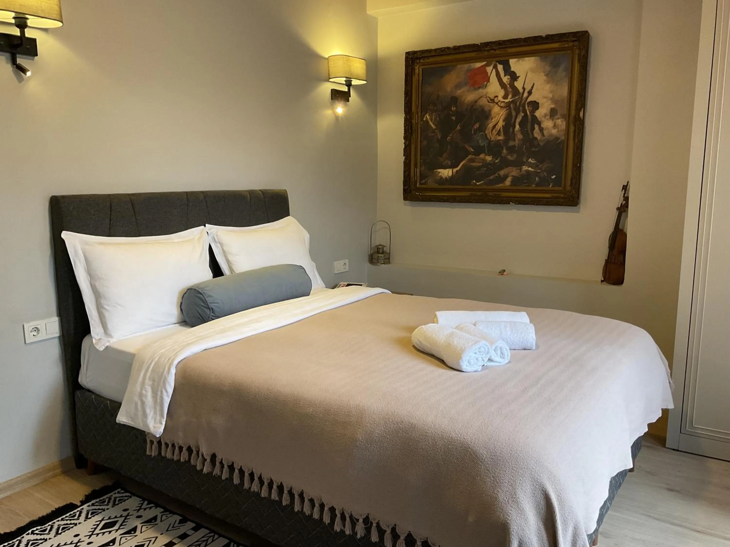 Double Room with Garden View - single occupancy in NarPera Taksim Boutique Hotel
